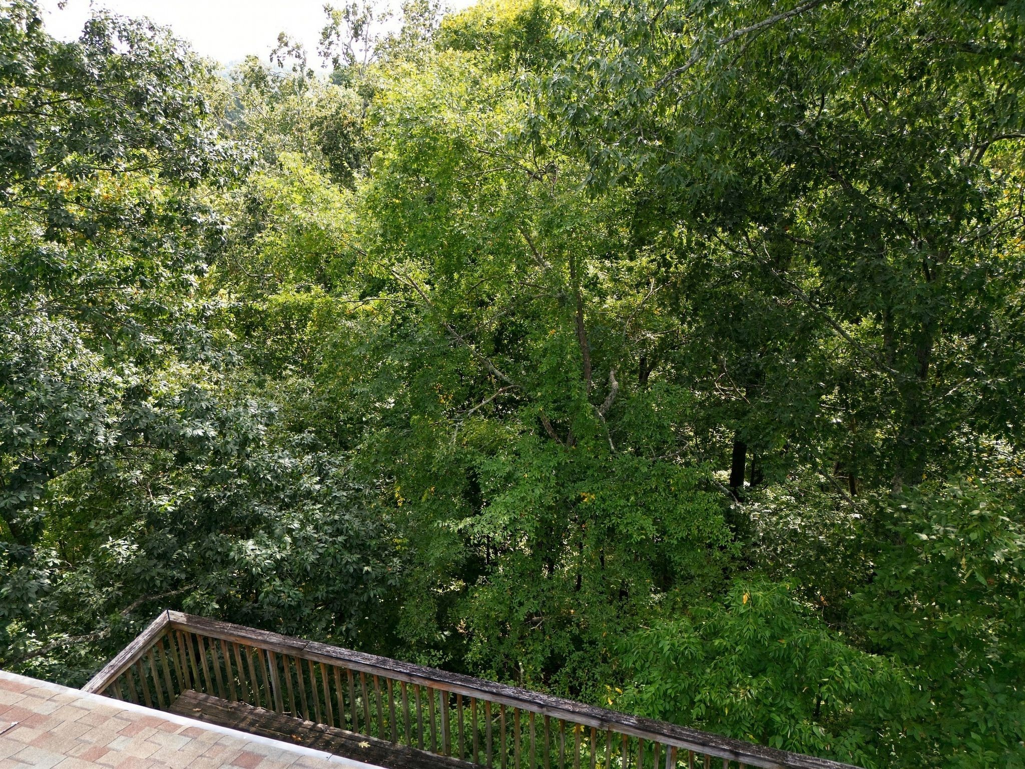112 Harpeth Trace Ct