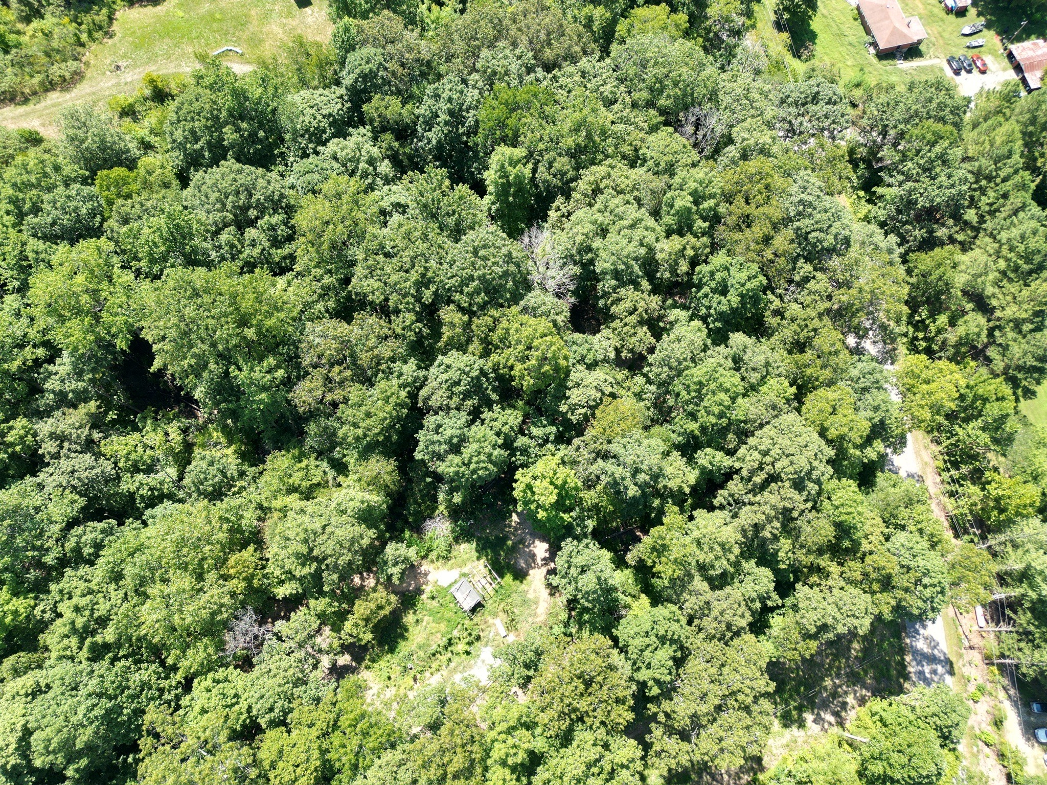 3585 Lewis Atkins Rd
