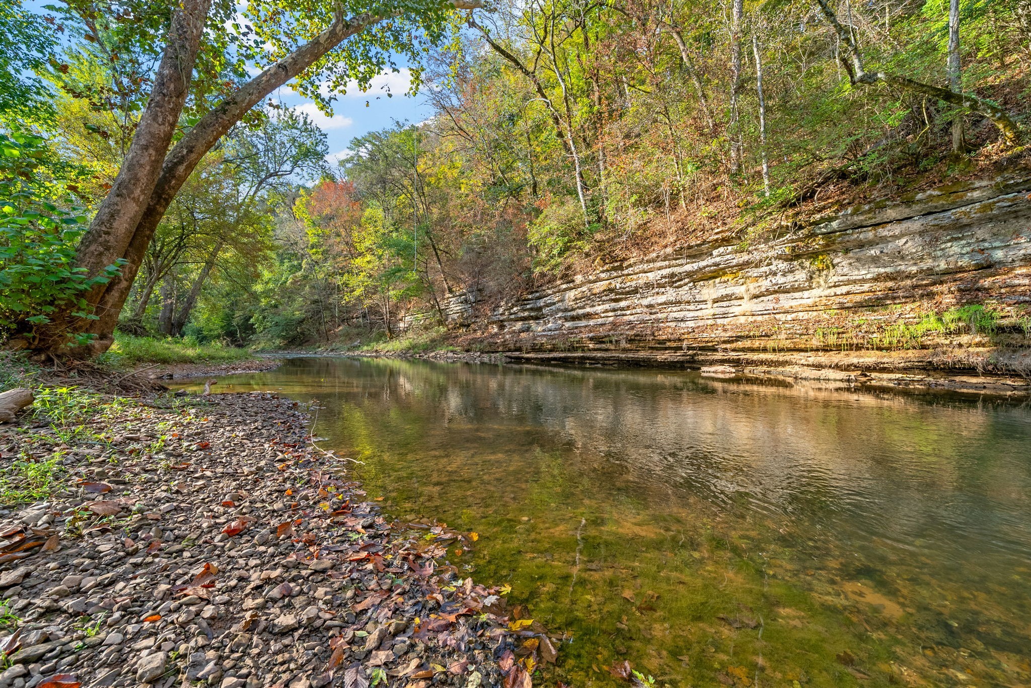 1717 Rains Road