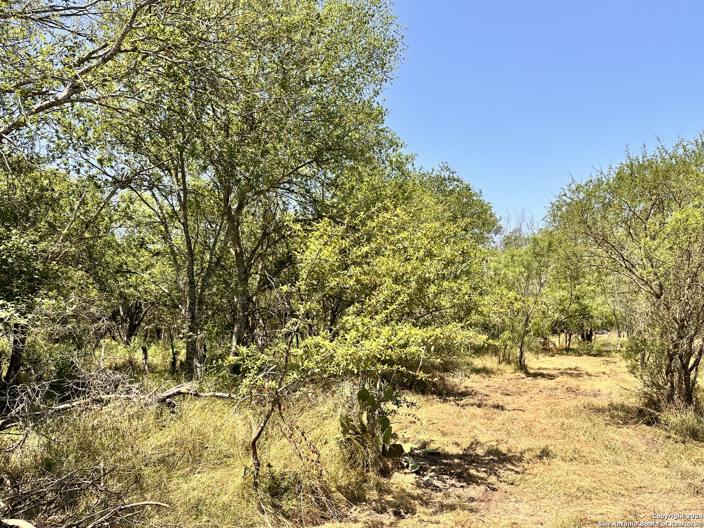 284 COUNTY ROAD 6715