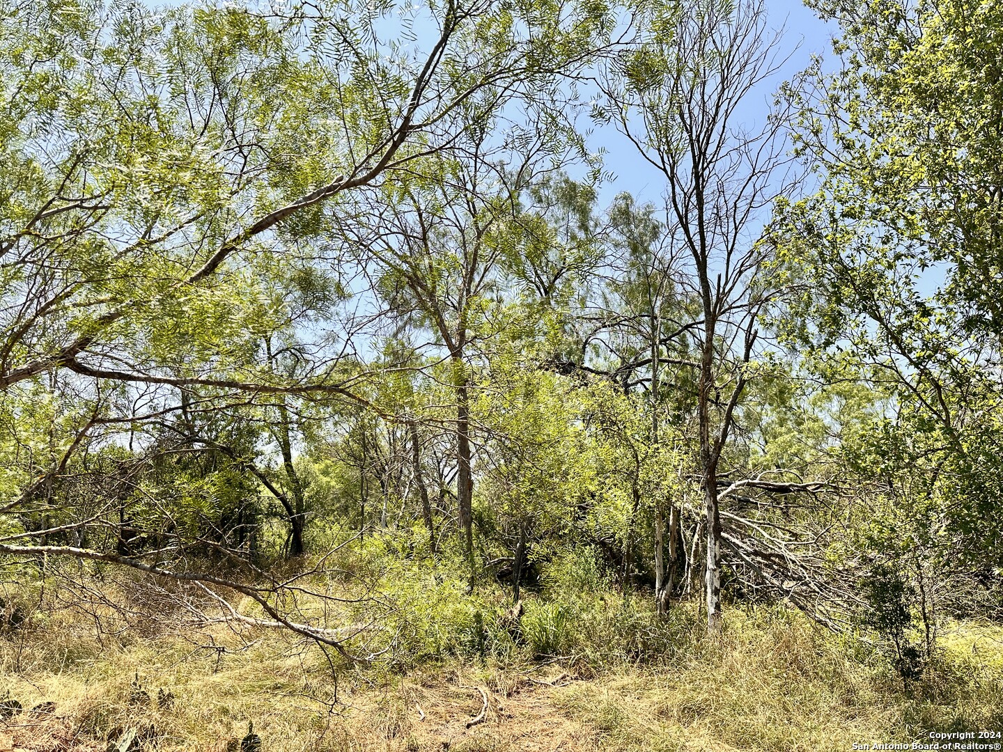 284 COUNTY ROAD 6715