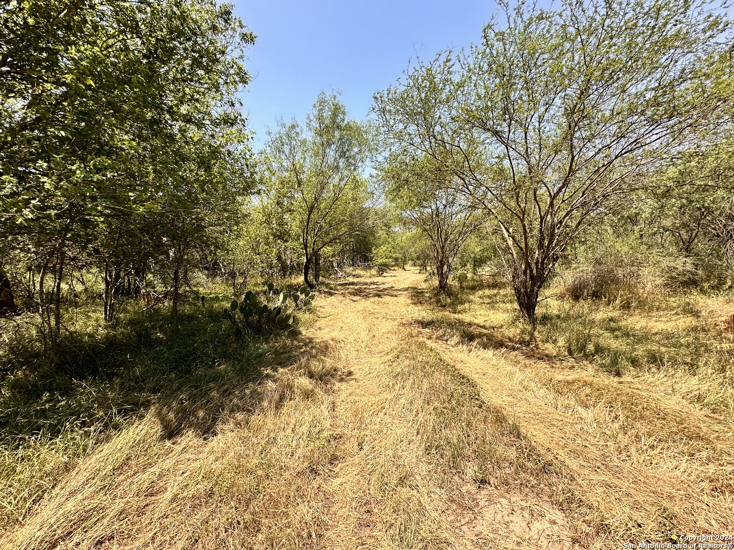 284 COUNTY ROAD 6715