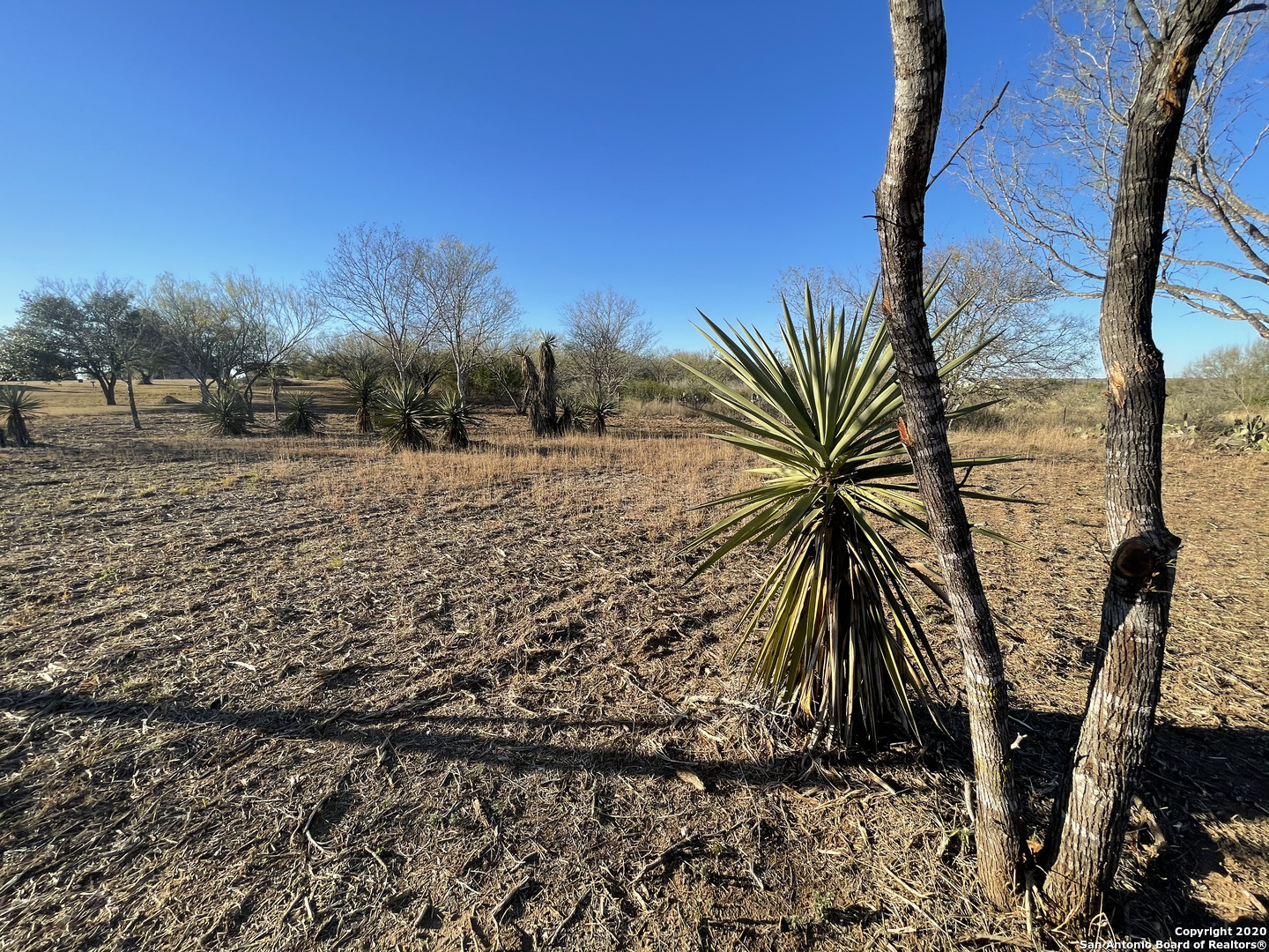 297 County Road 1647