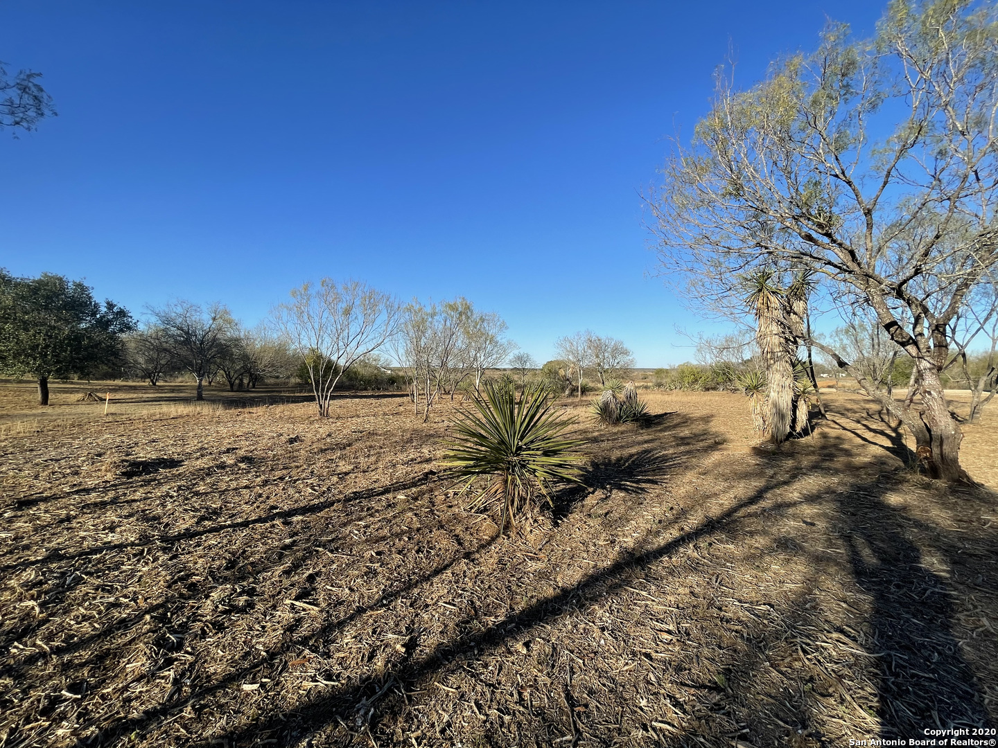 297 County Road 1647