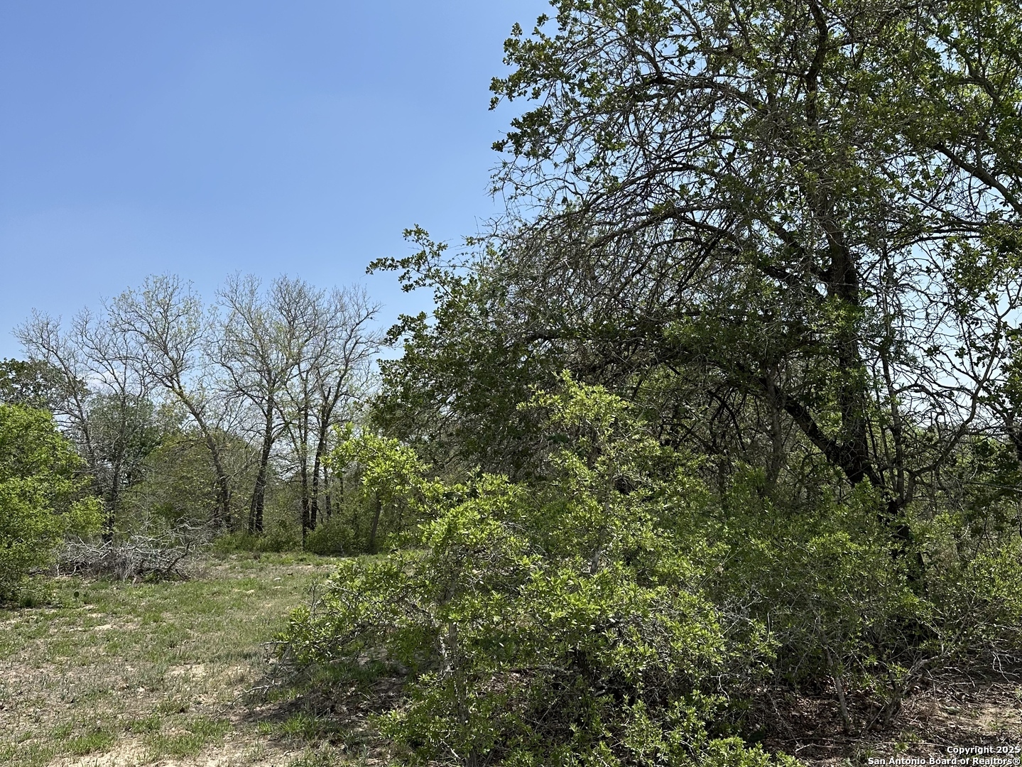 165 Sanctuary Lane (Tract 2)