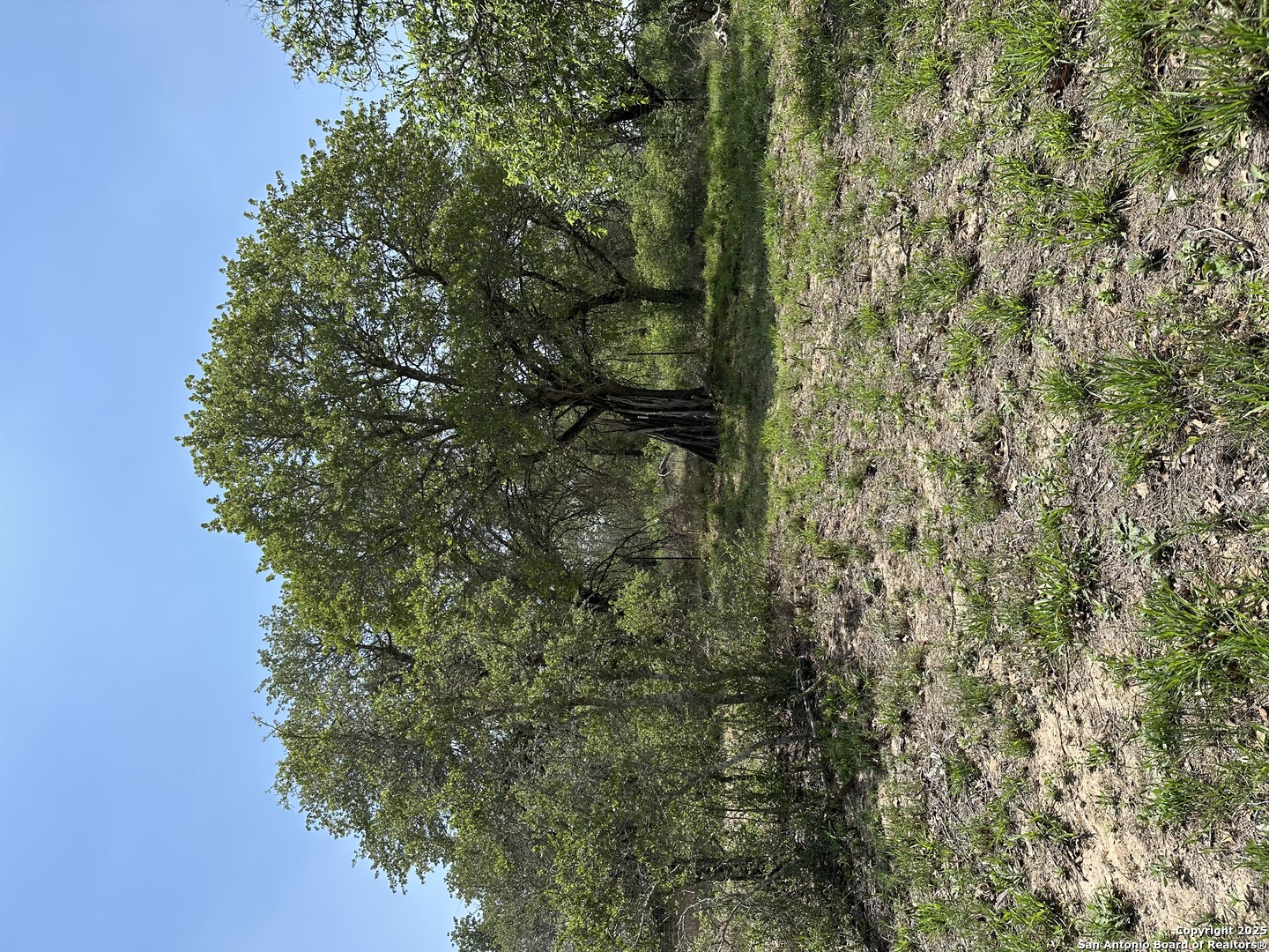 165 Sanctuary Lane (Tract 2)