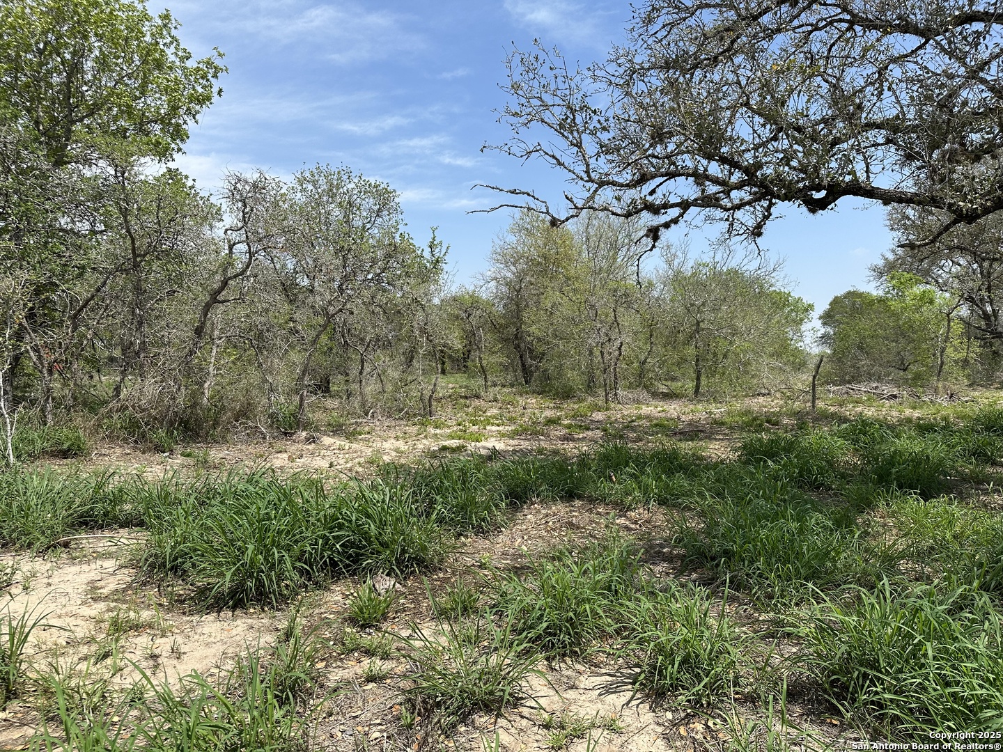 165 Sanctuary Lane (Tract 2)