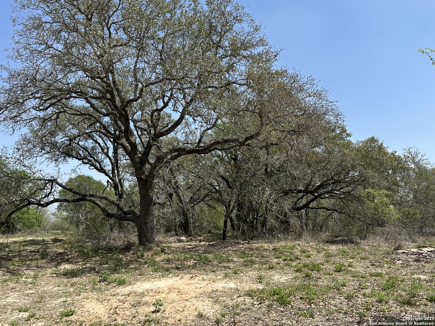 165 Sanctuary Lane (Tract 3)