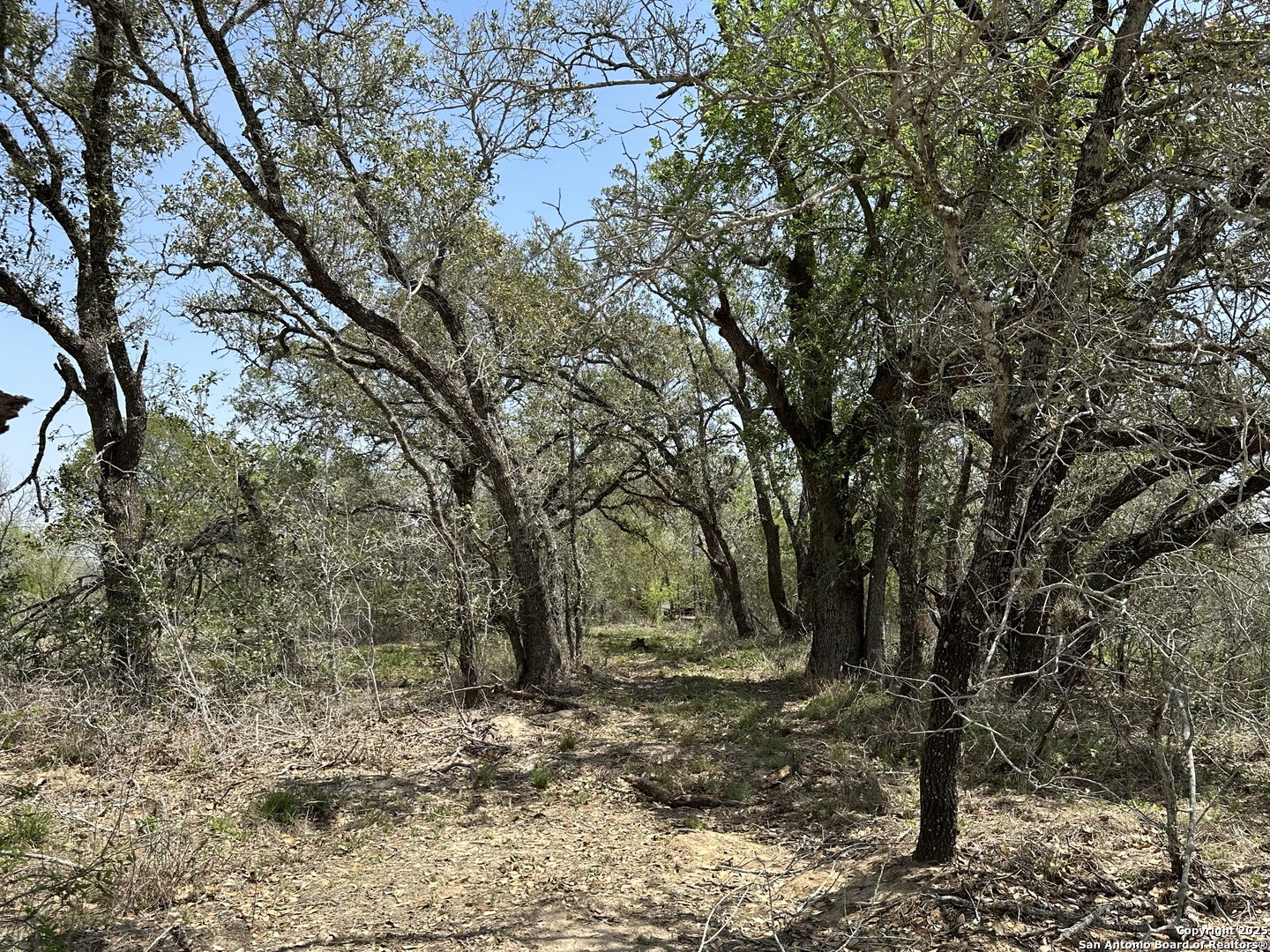 165 Sanctuary Lane (Tract 3)