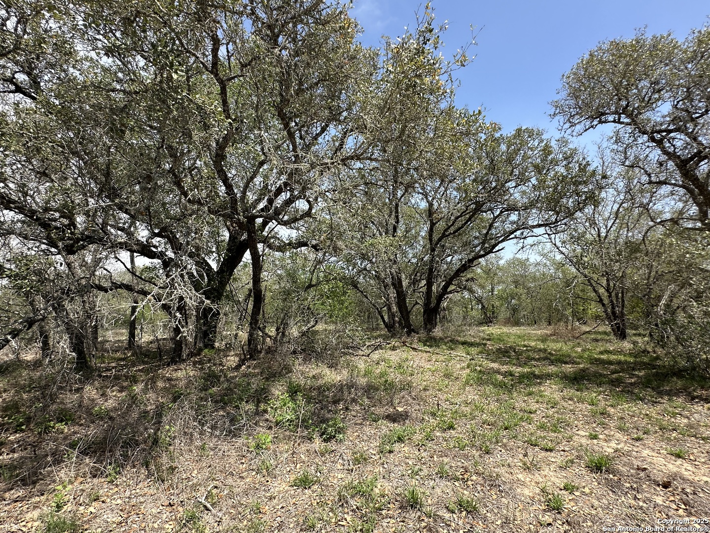 165 Sanctuary Lane (Tract 3)