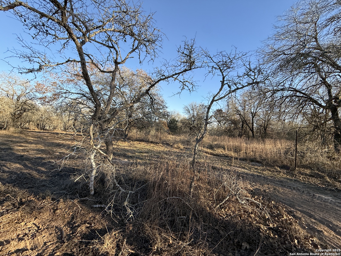 165 Sanctuary Lane (Tract 4)