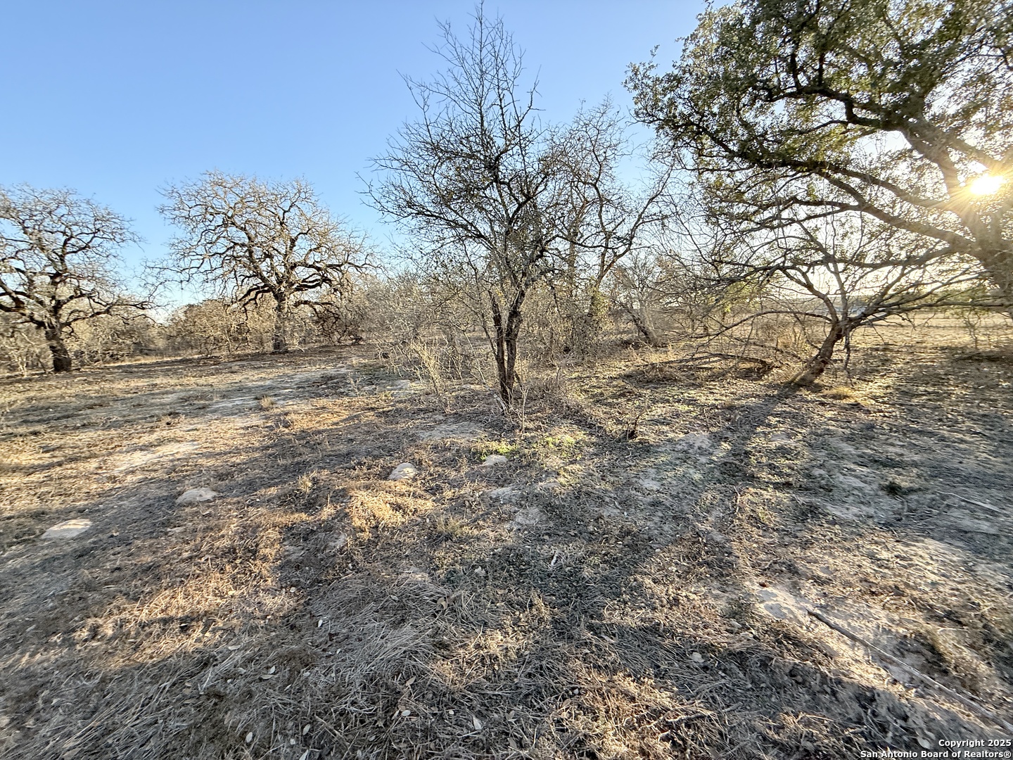 165 Sanctuary Lane (Tract 4)