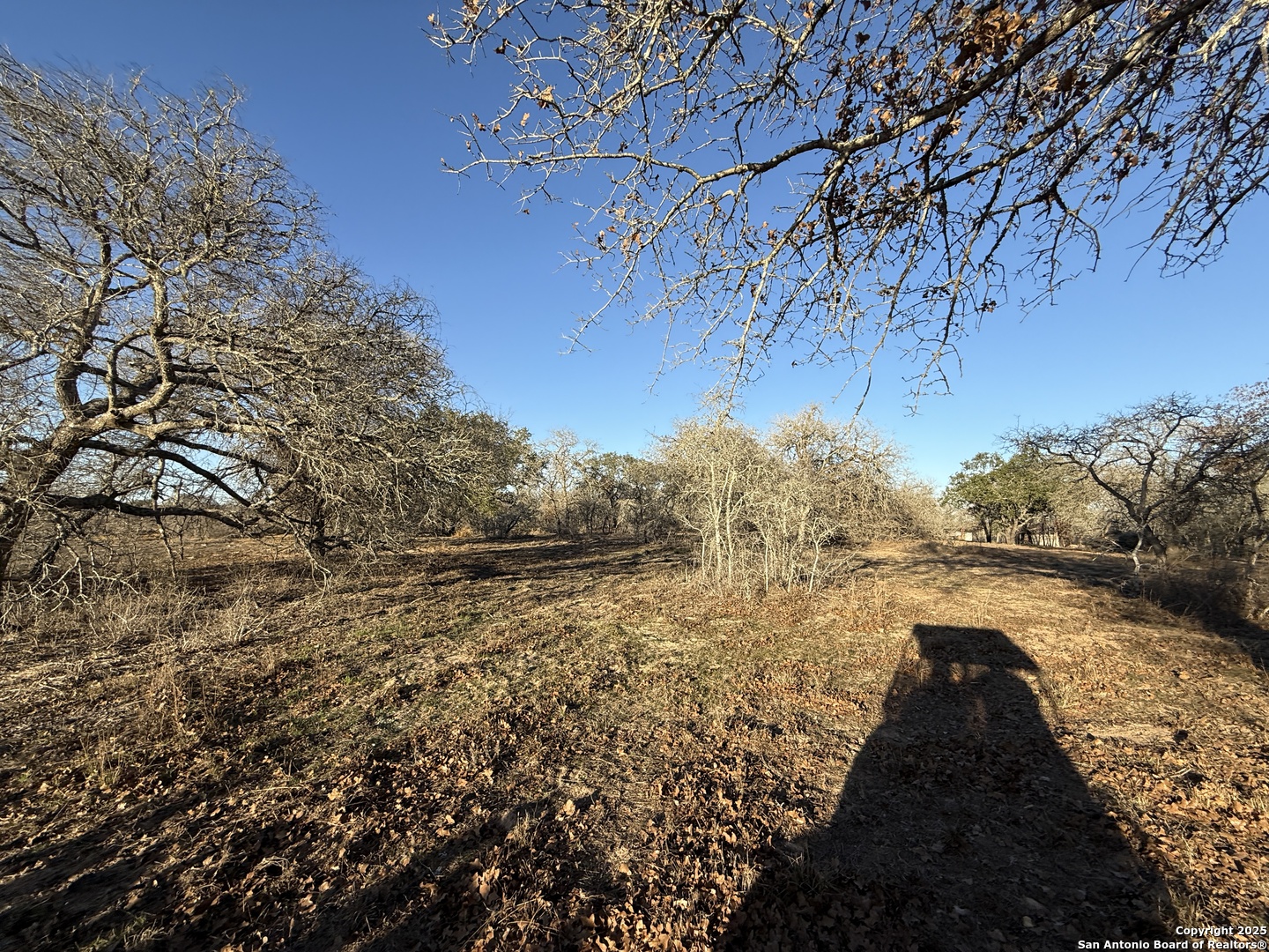 165 Sanctuary Lane (Tract 4)