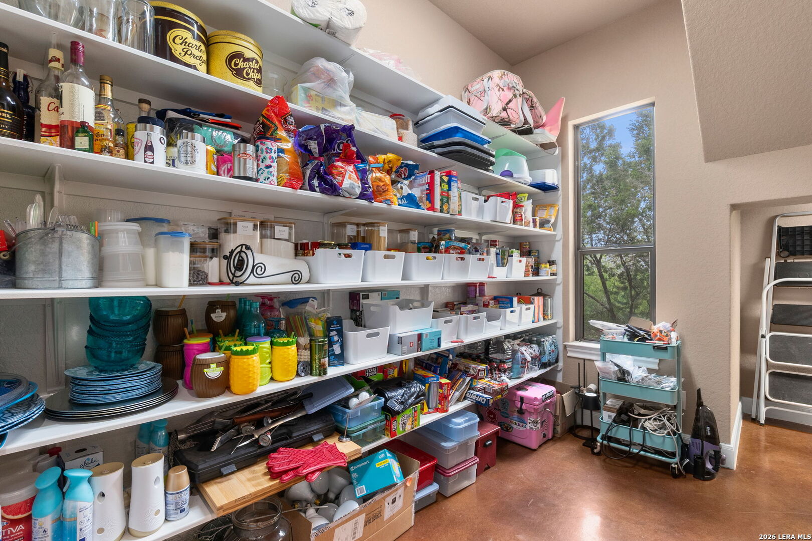 17203 Clovis