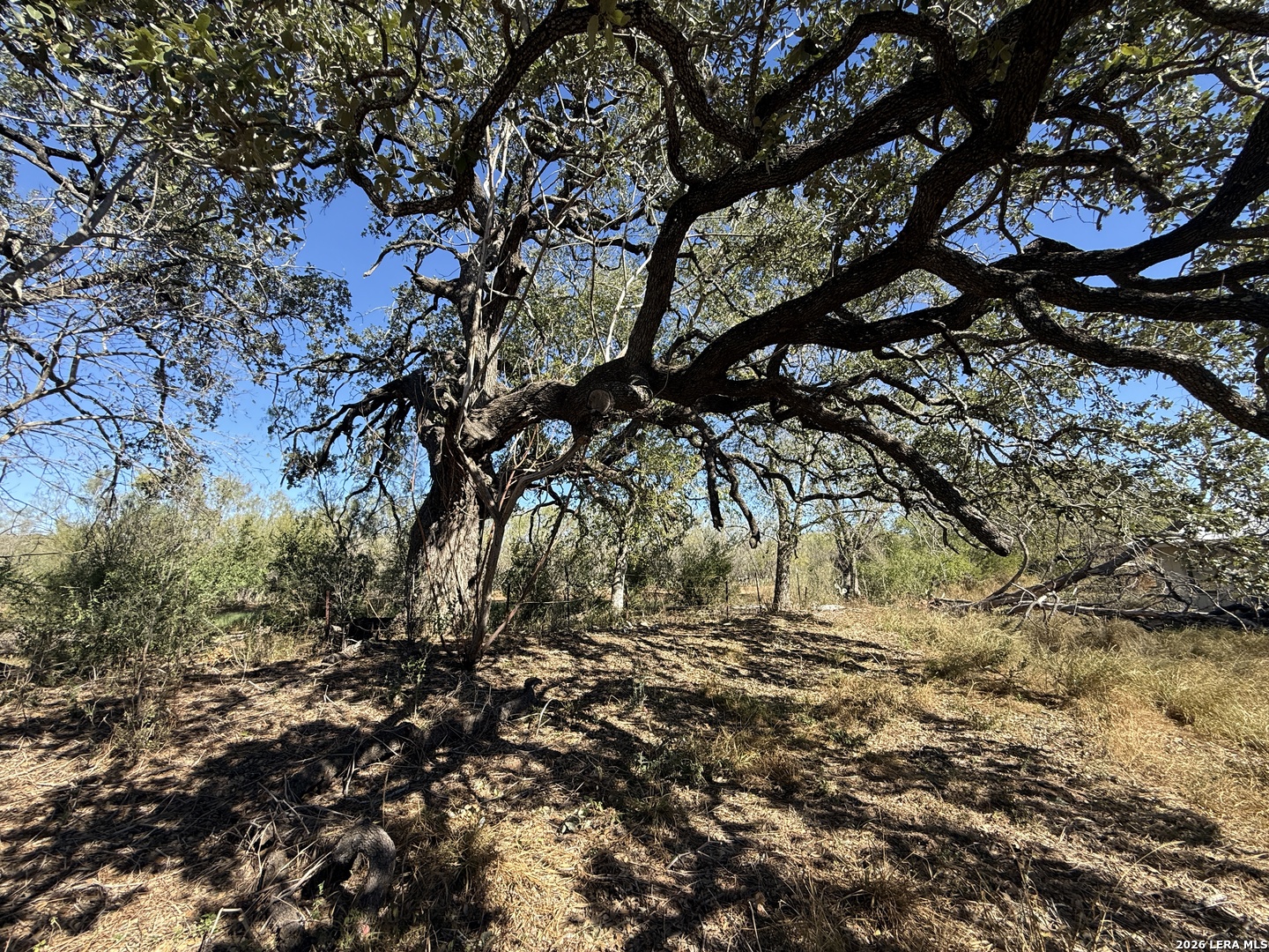 415 COUNTY ROAD 1585