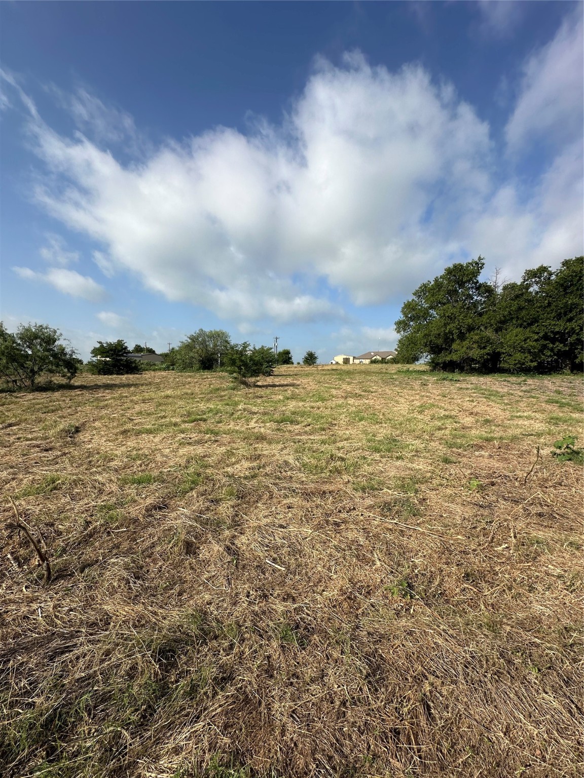 3549 County Road 1224