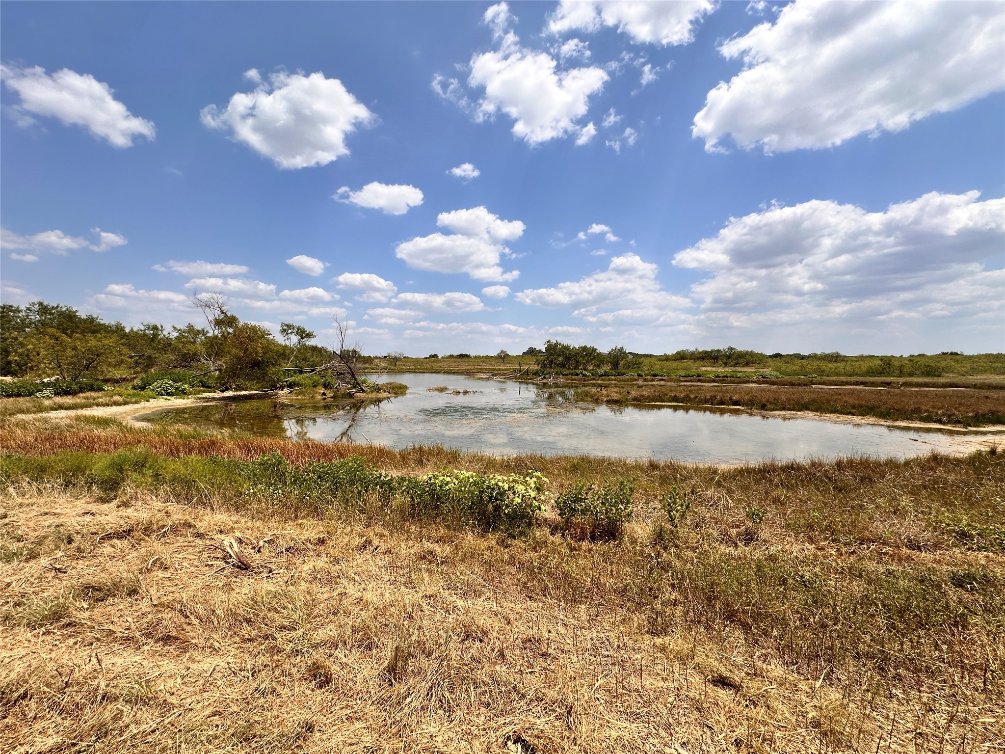 20 Acres FM-66 Highway