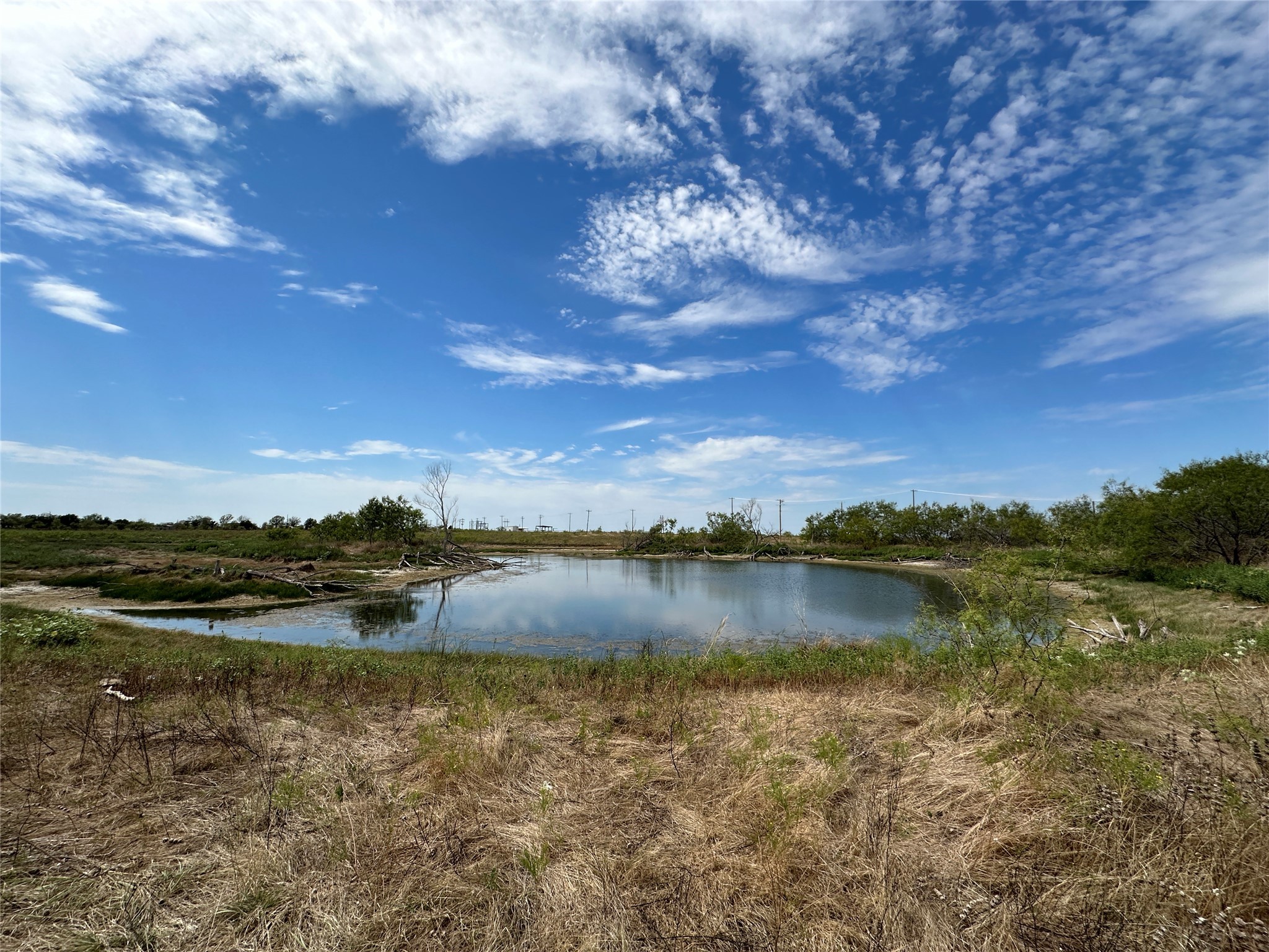 20 Acres FM-66 Highway