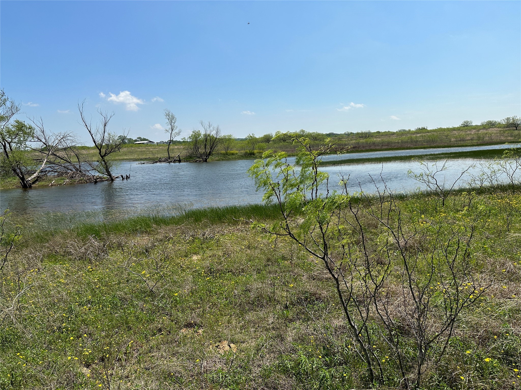 20 Acres FM-66 Highway