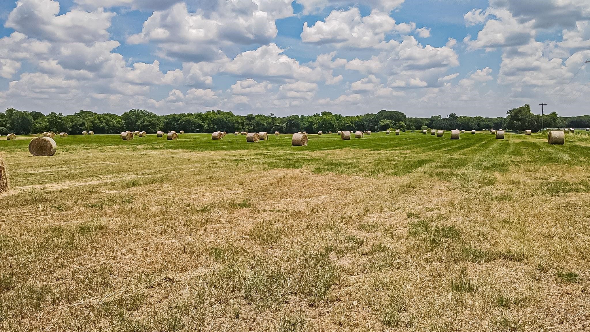 Lot 2 Gathings Avenue