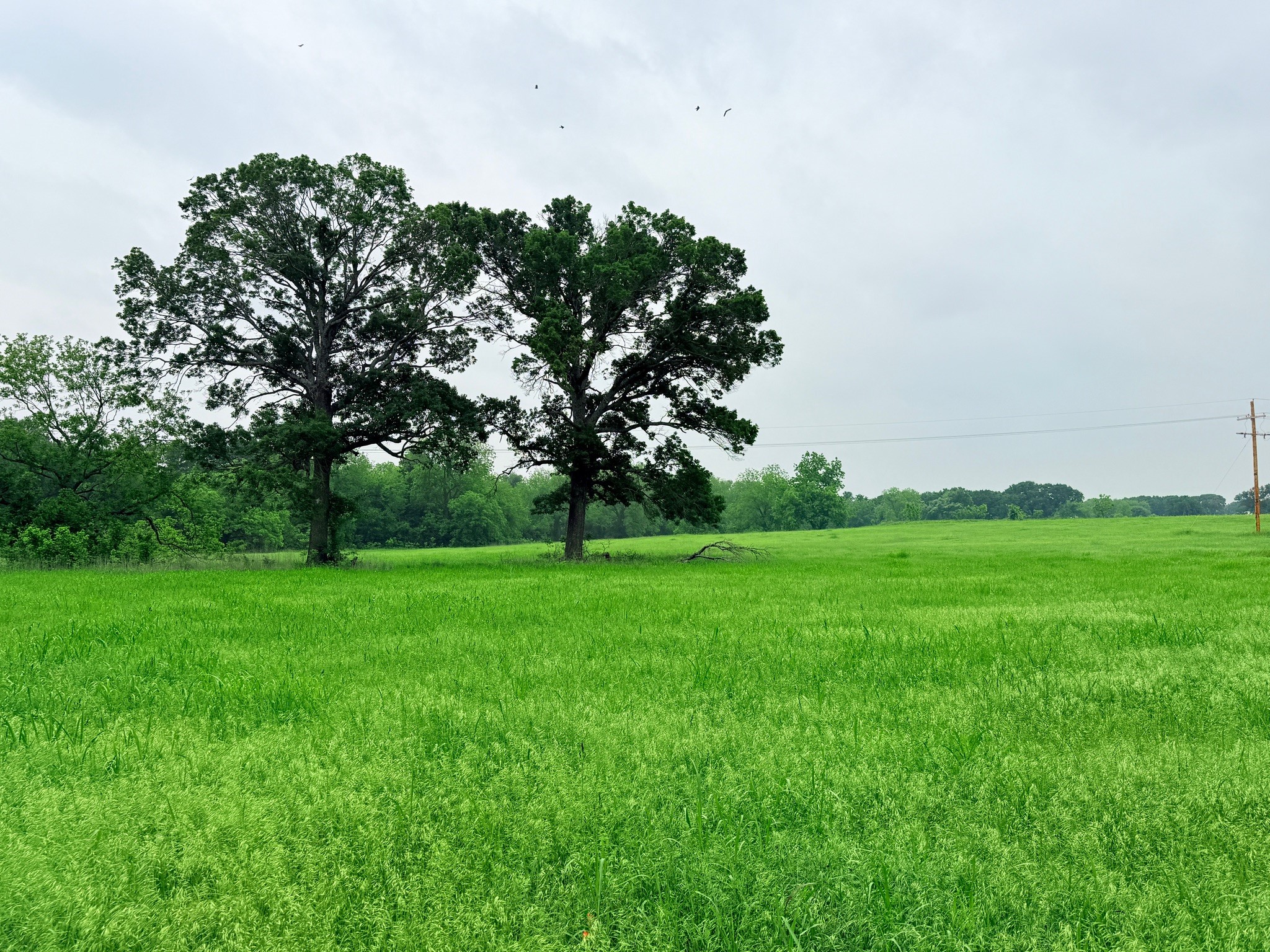 21 Acres Gathings Avenue