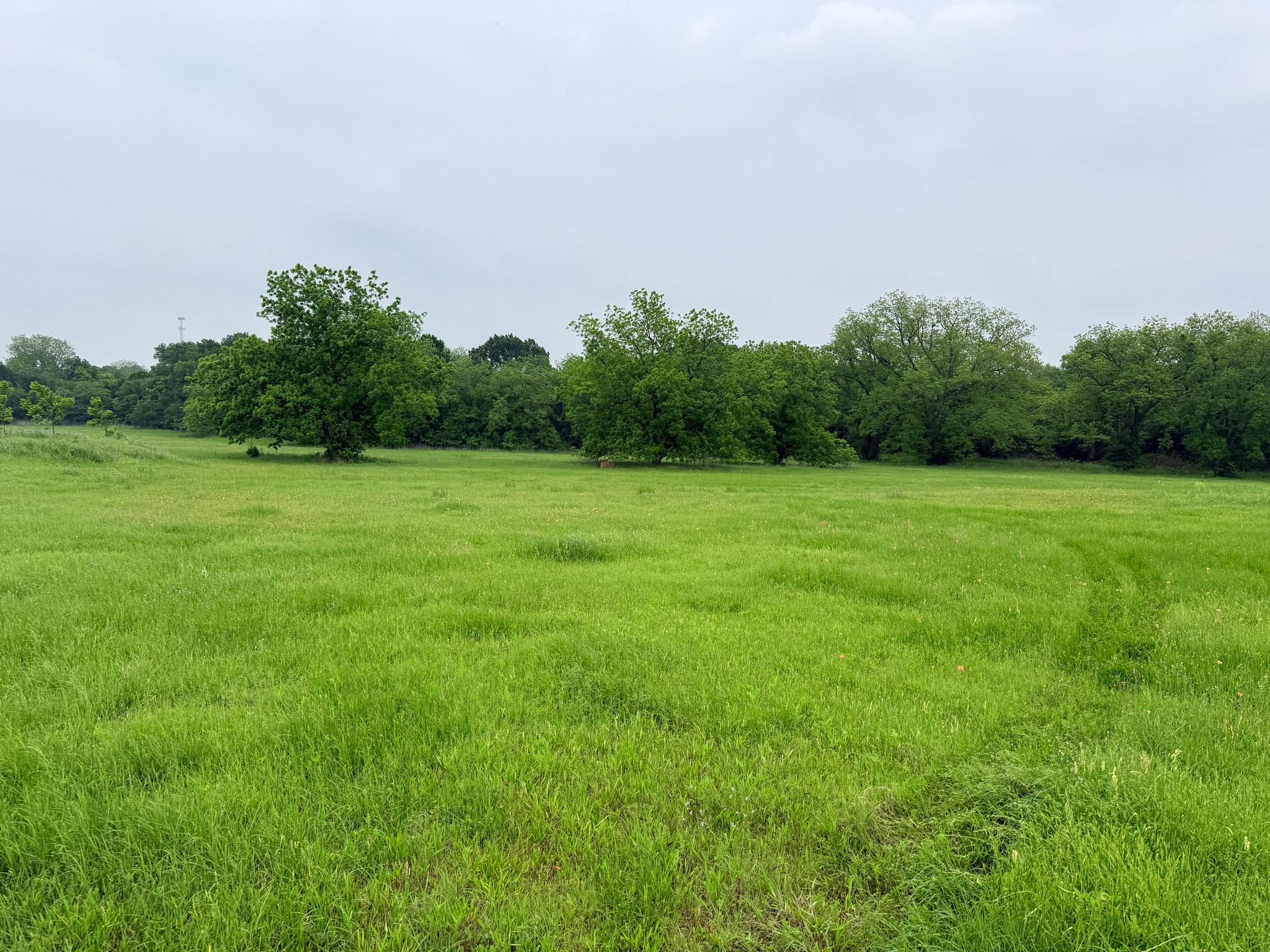 21 Acres Gathings Avenue