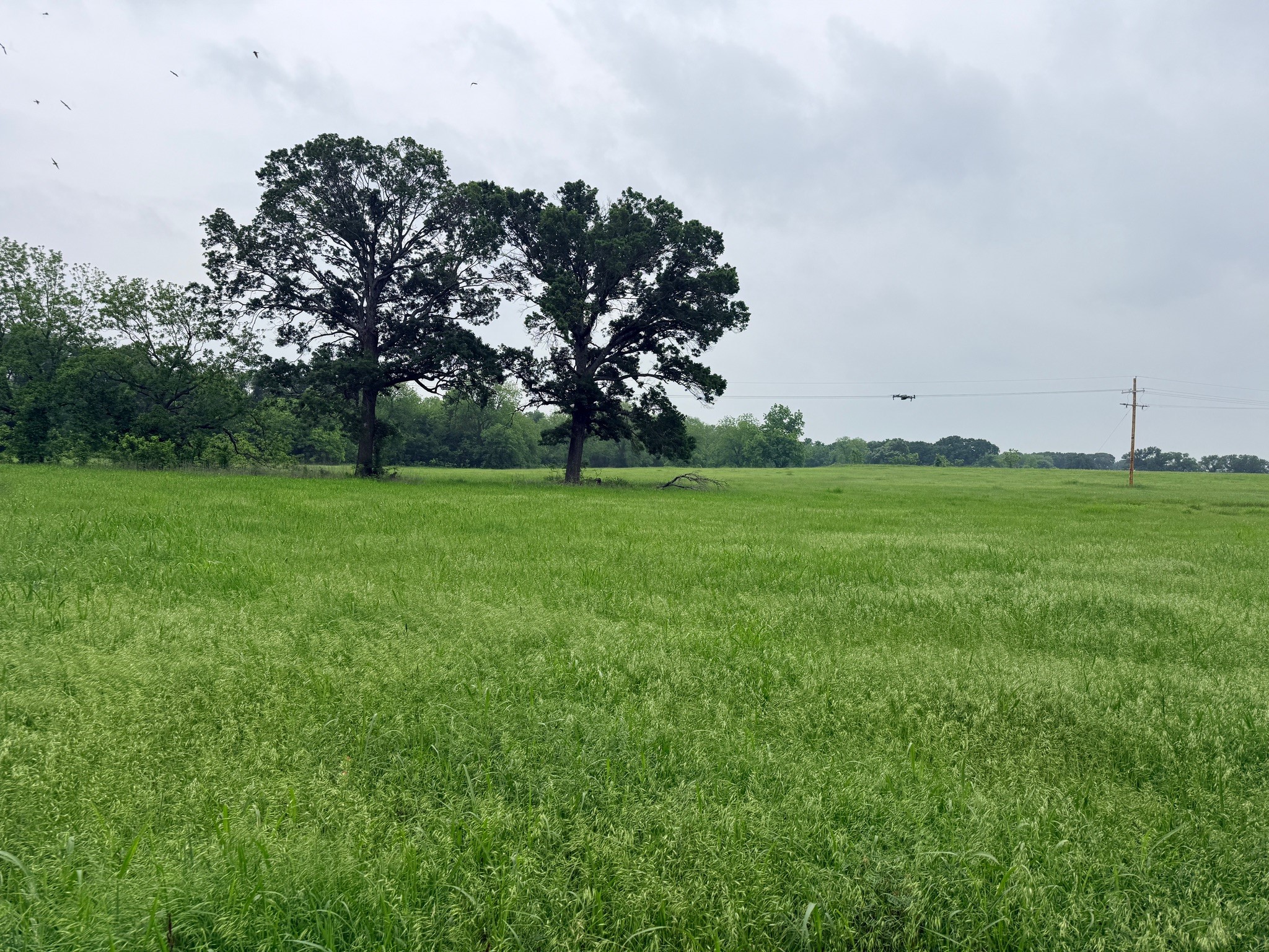 21 Acres Gathings Avenue