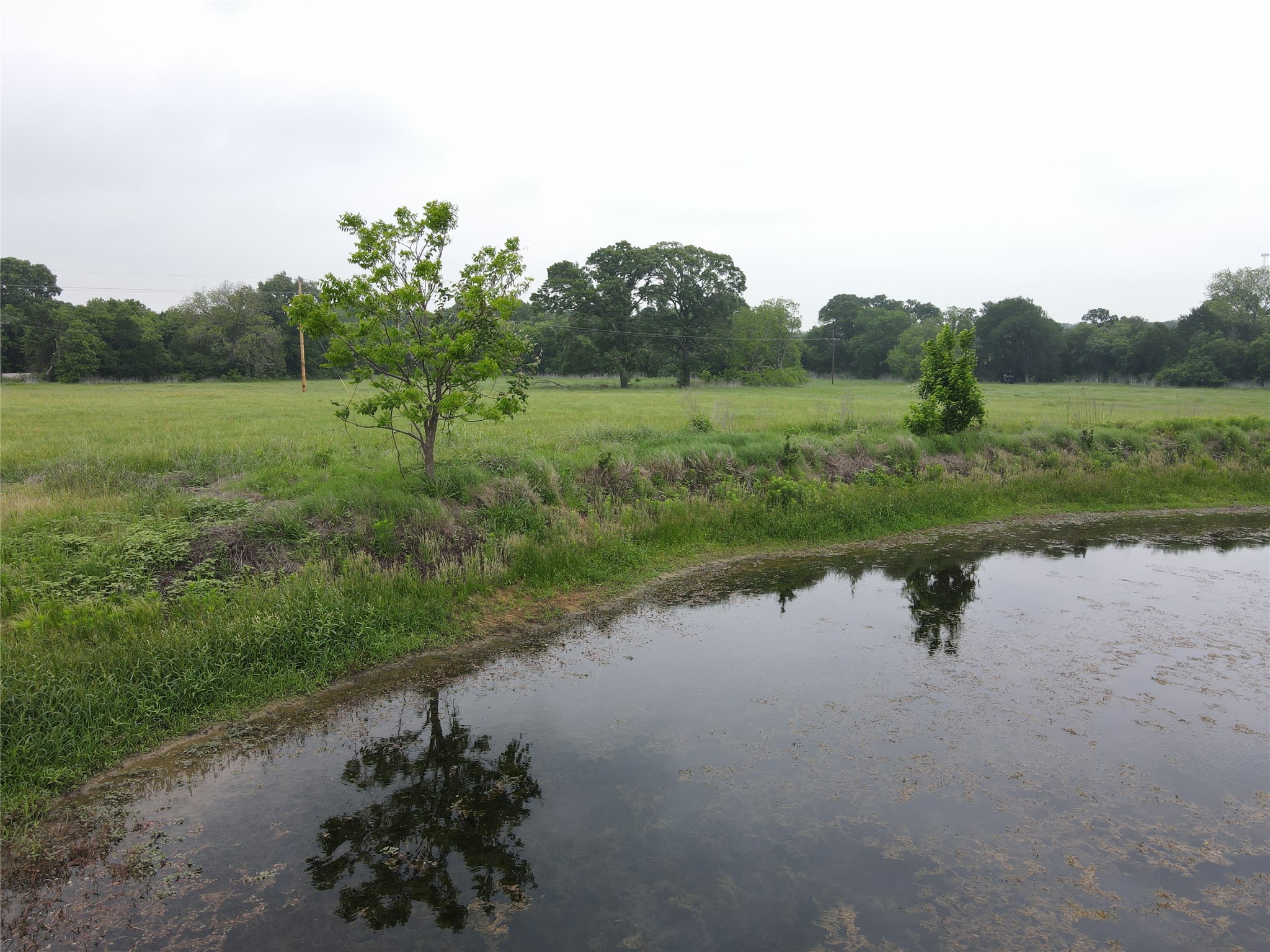21 Acres Gathings Avenue