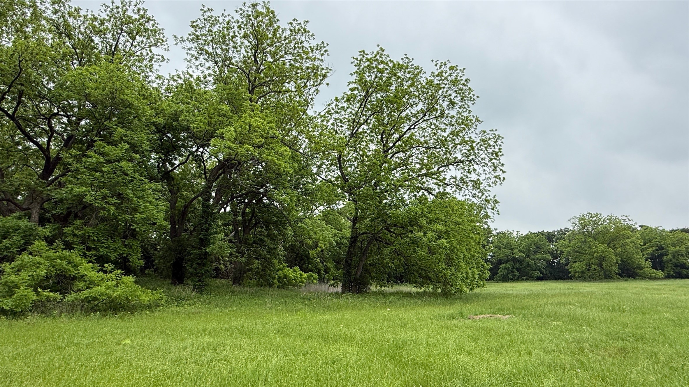21 Acres Gathings Avenue