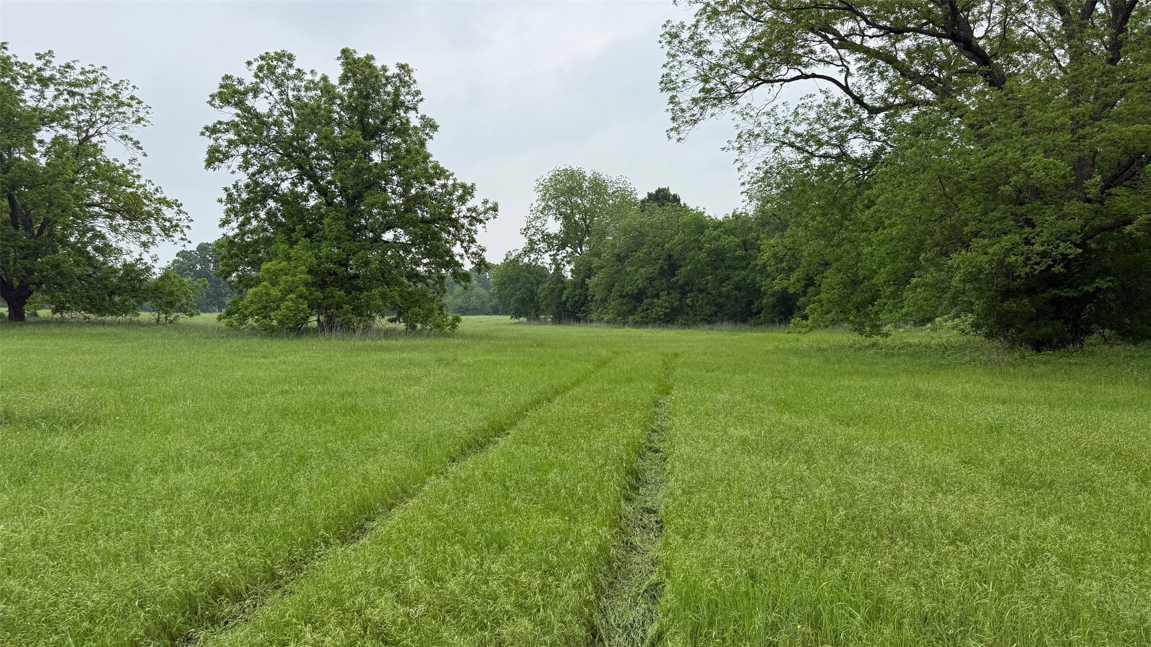 21 Acres Gathings Avenue