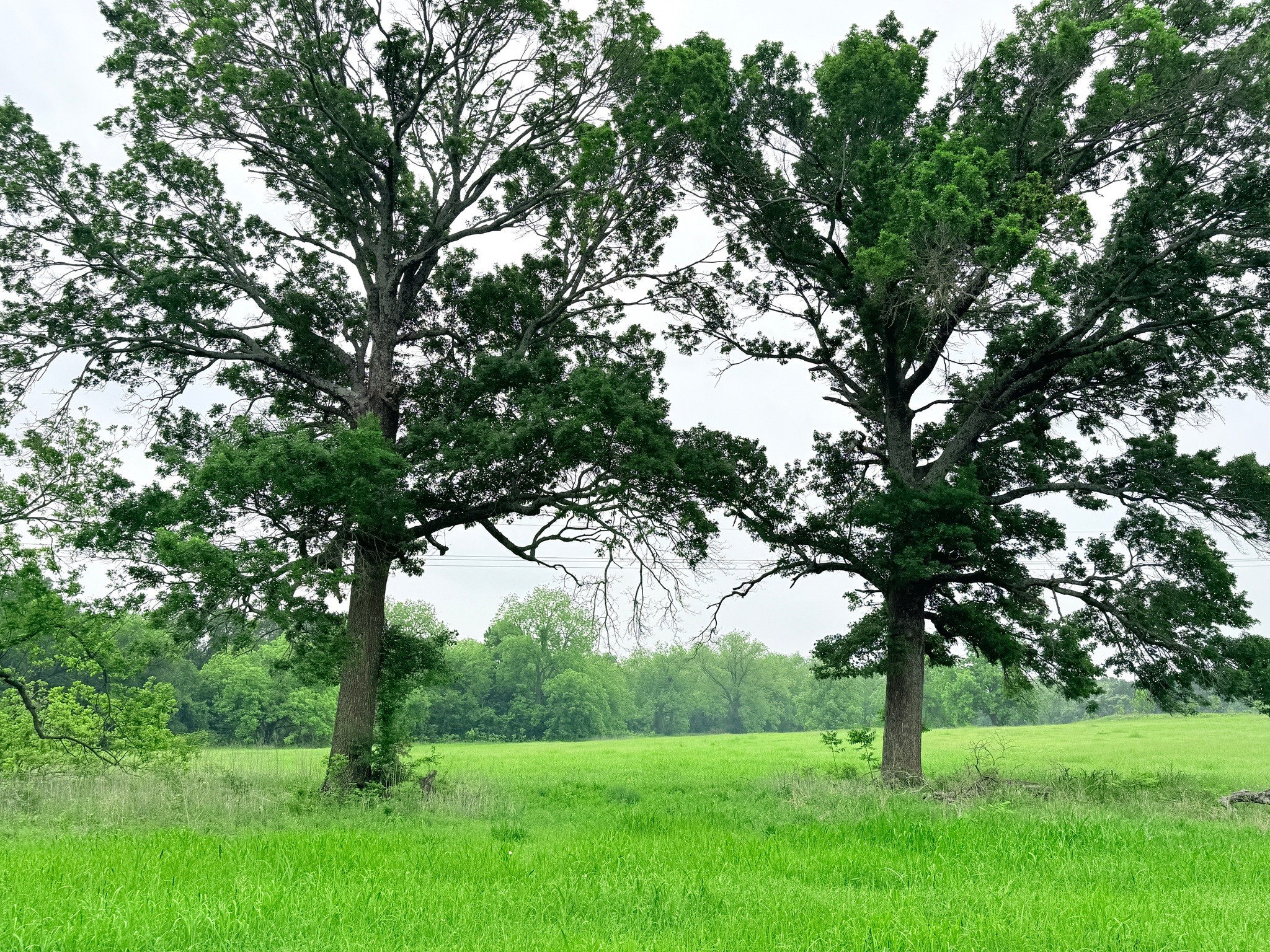 21 Acres Gathings Avenue