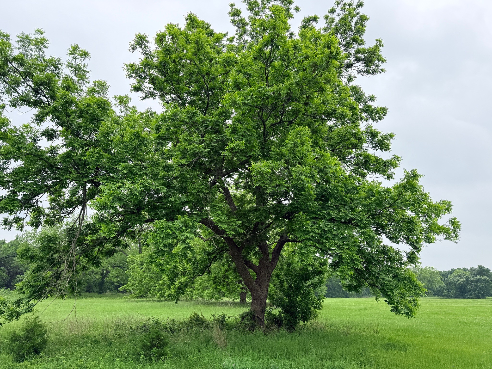 21 Acres Gathings Avenue