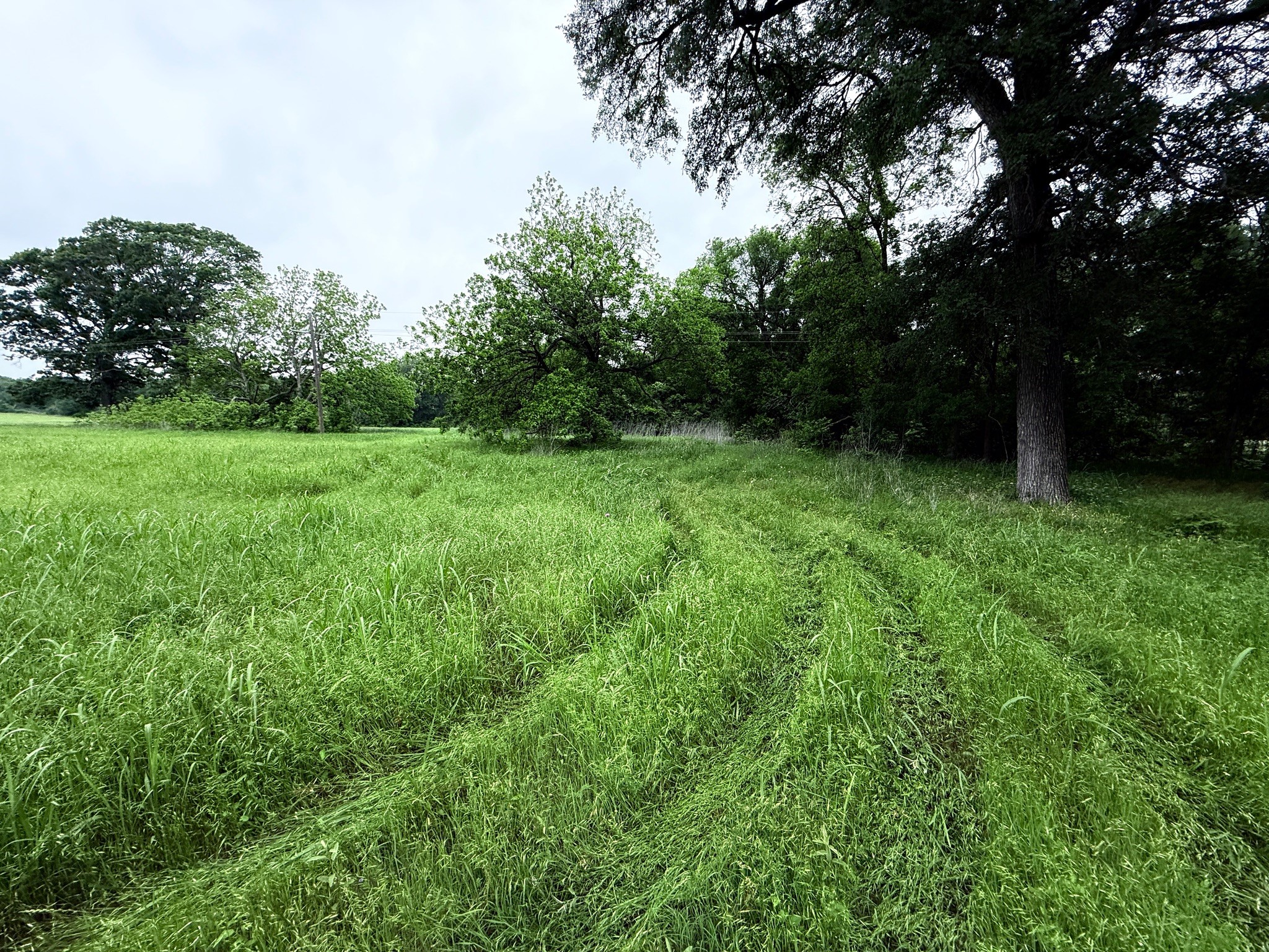 21 Acres Gathings Avenue