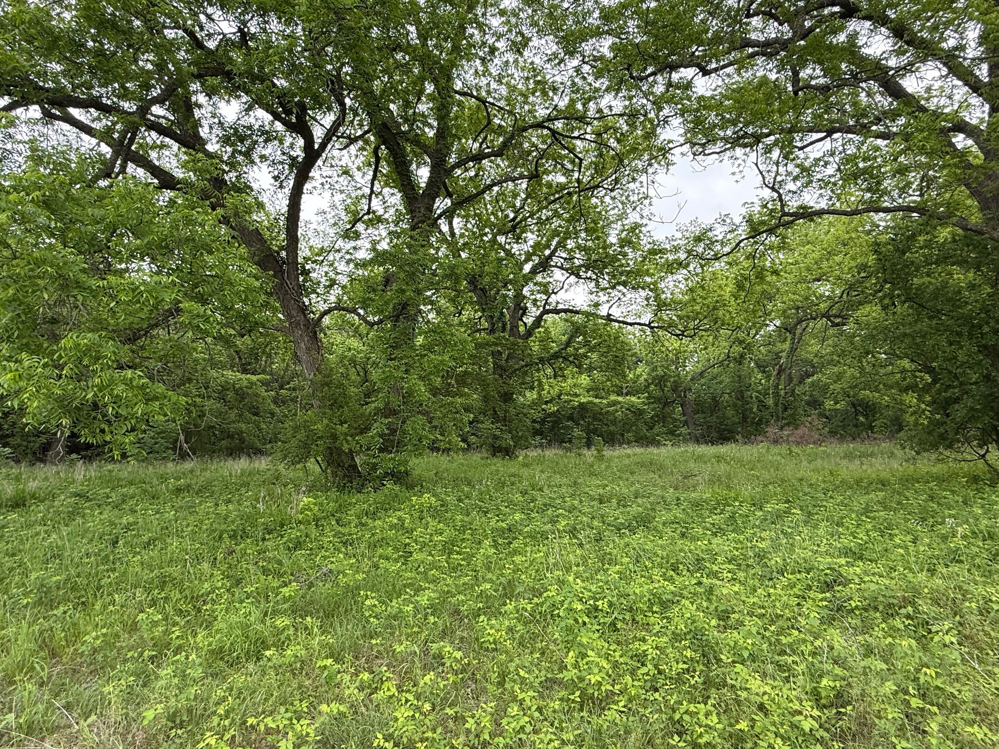 21 Acres Gathings Avenue