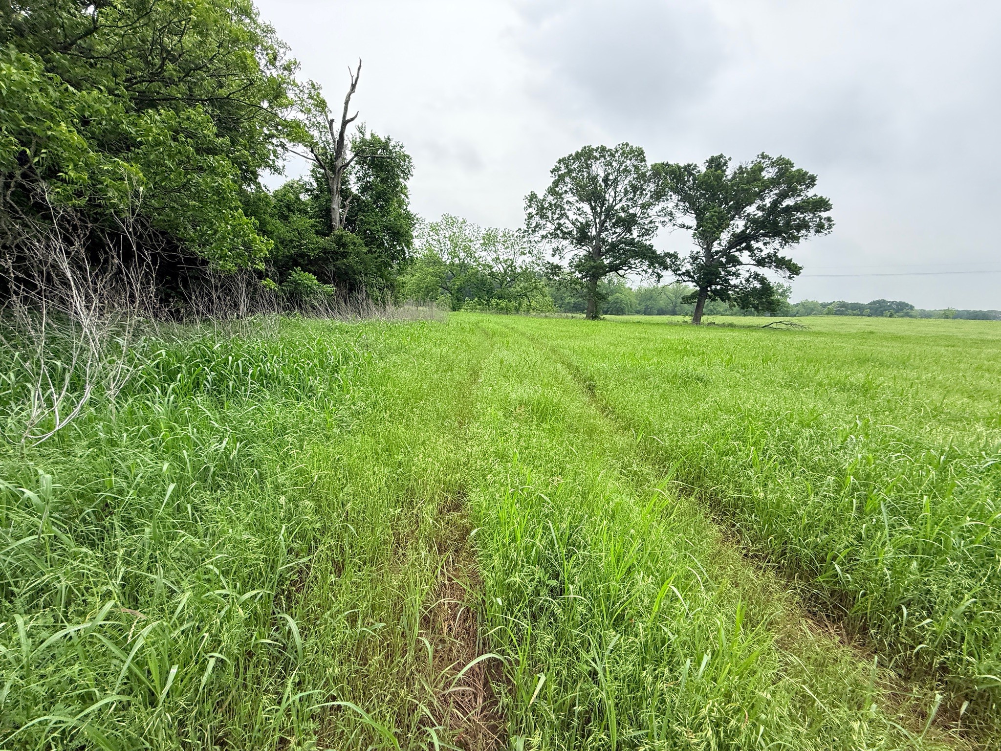 21 Acres Gathings Avenue