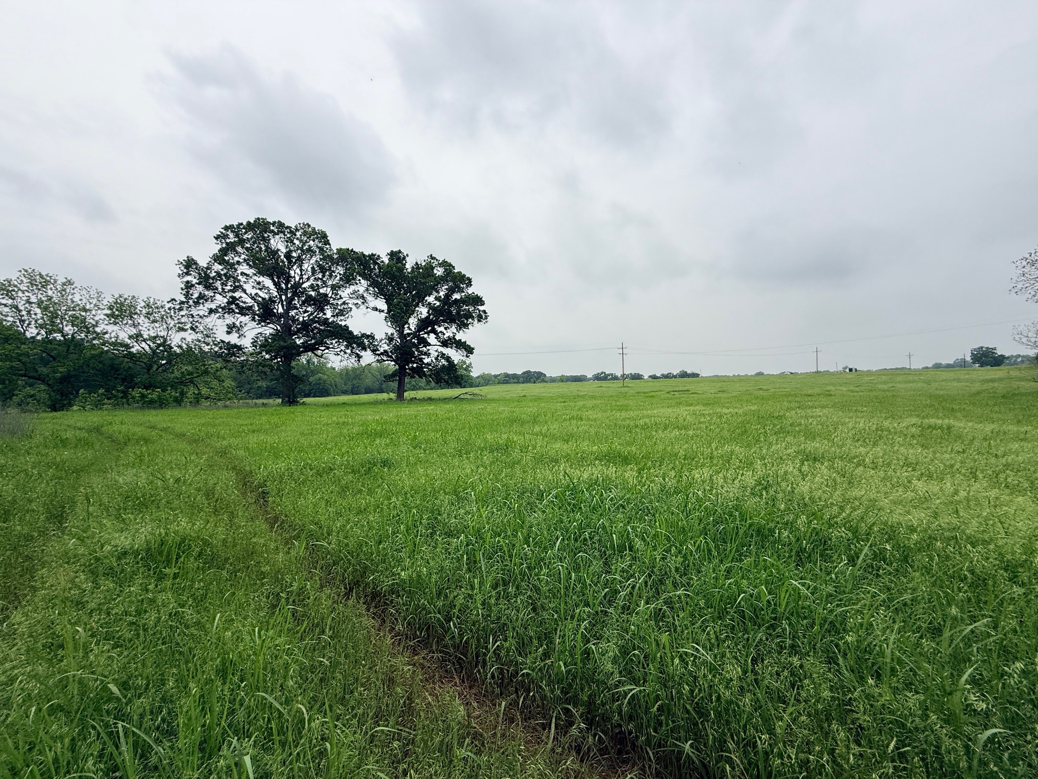 21 Acres Gathings Avenue