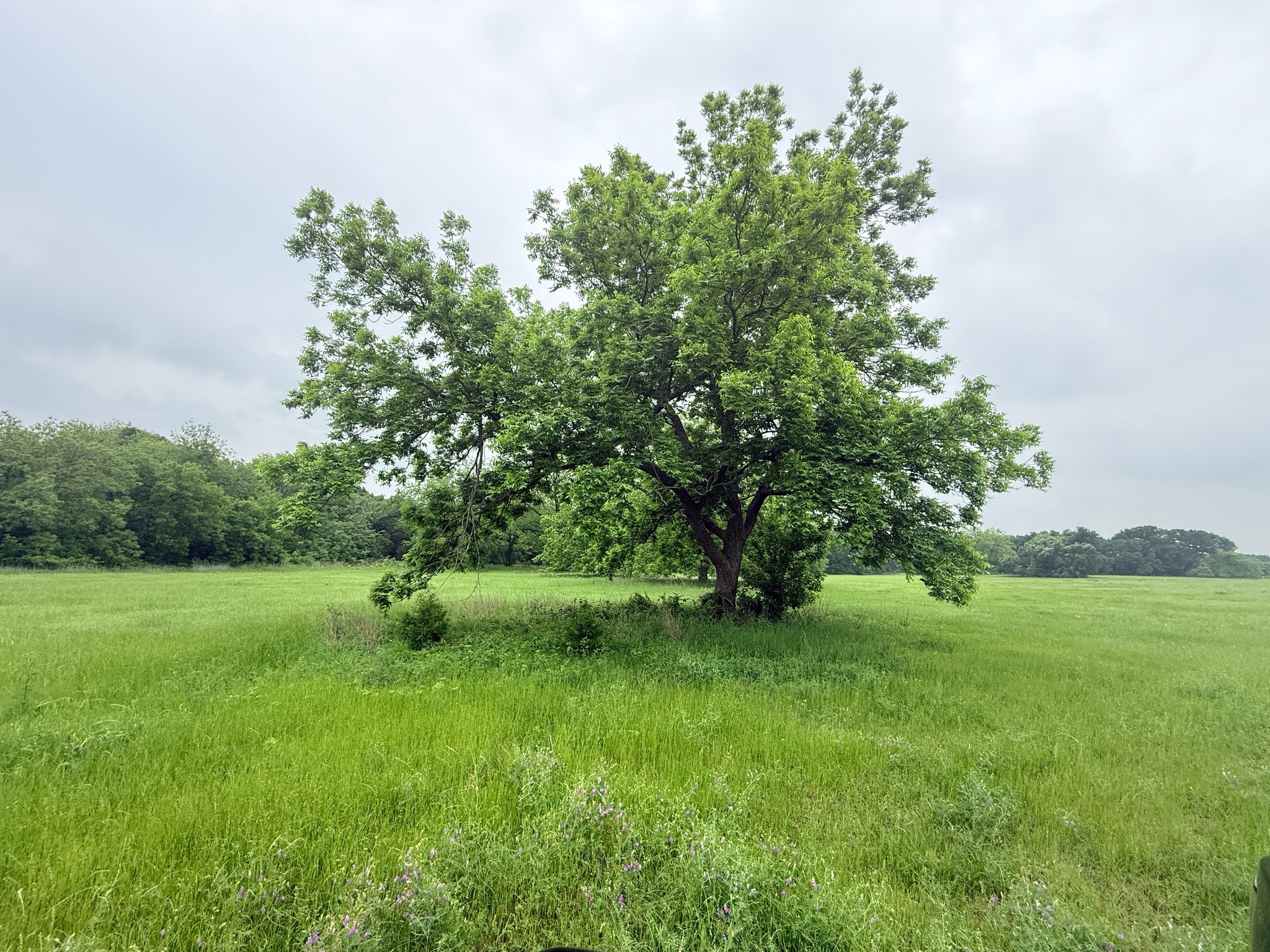 21 Acres Gathings Avenue