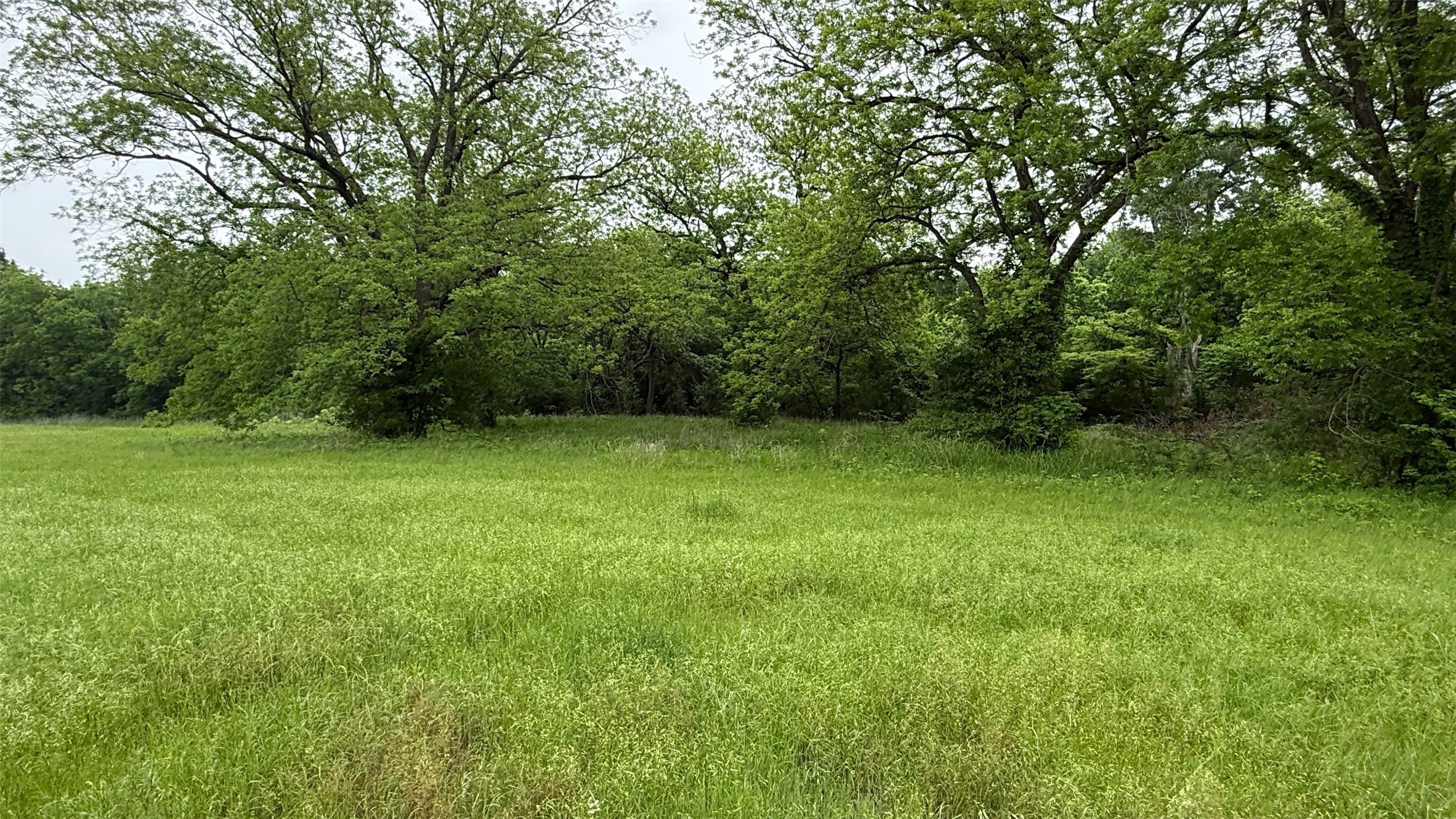 21 Acres Gathings Avenue