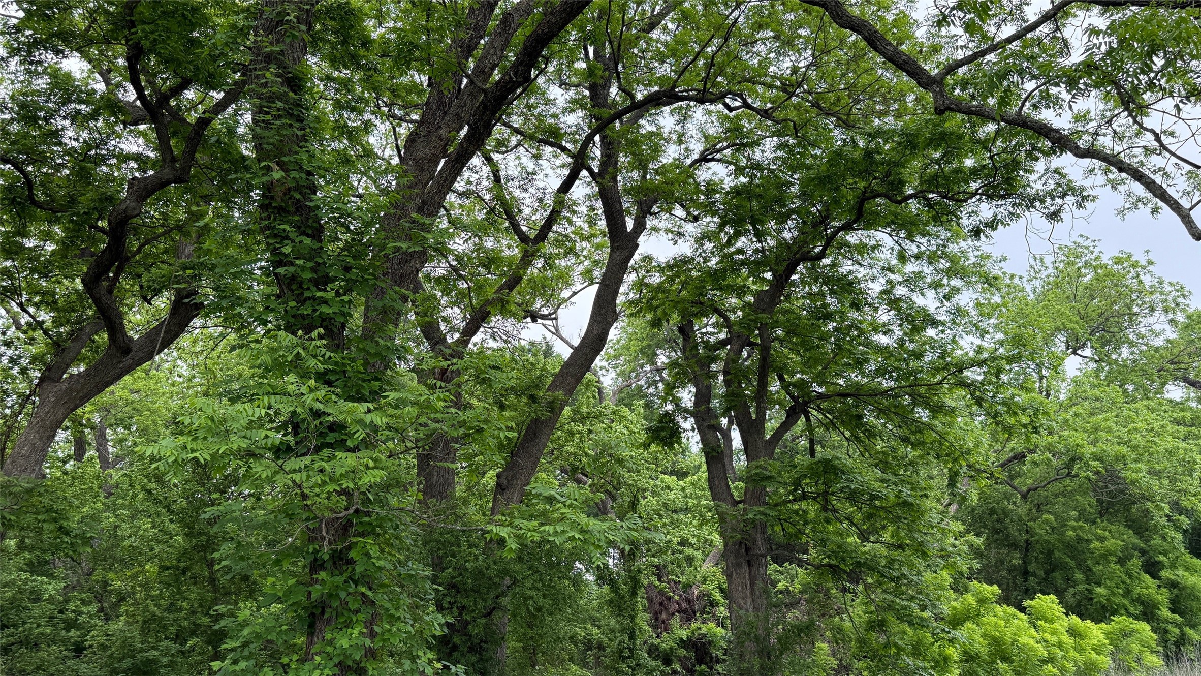 21 Acres Gathings Avenue