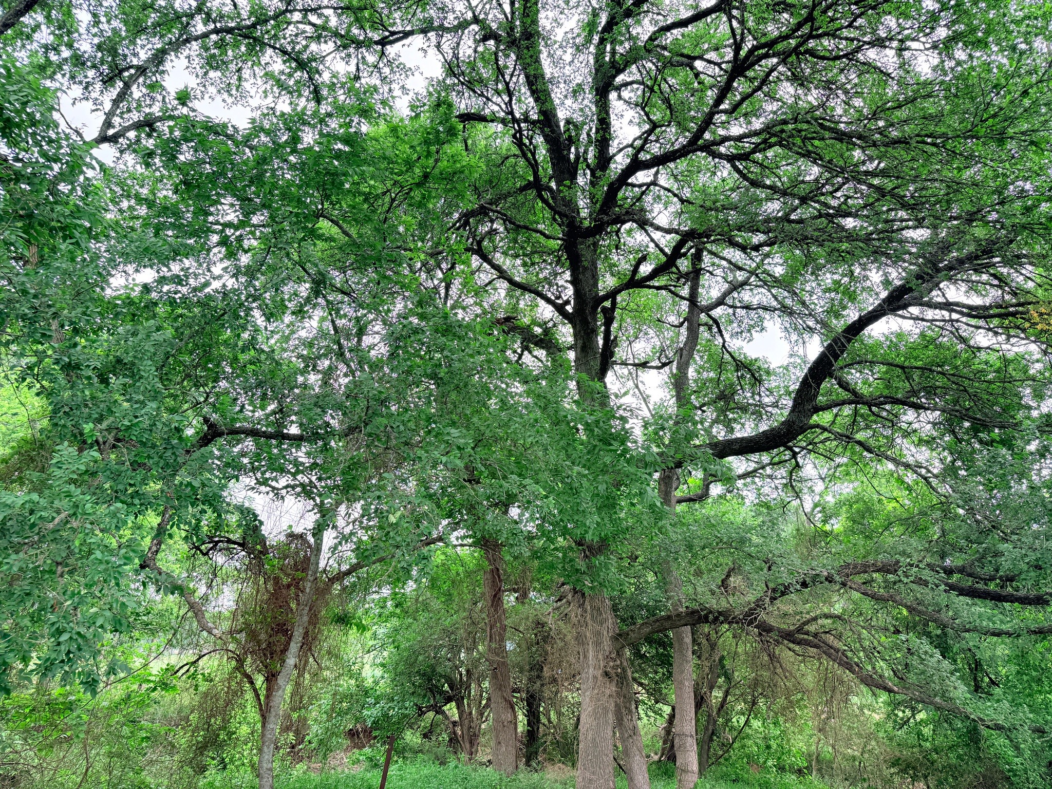21 Acres Gathings Avenue