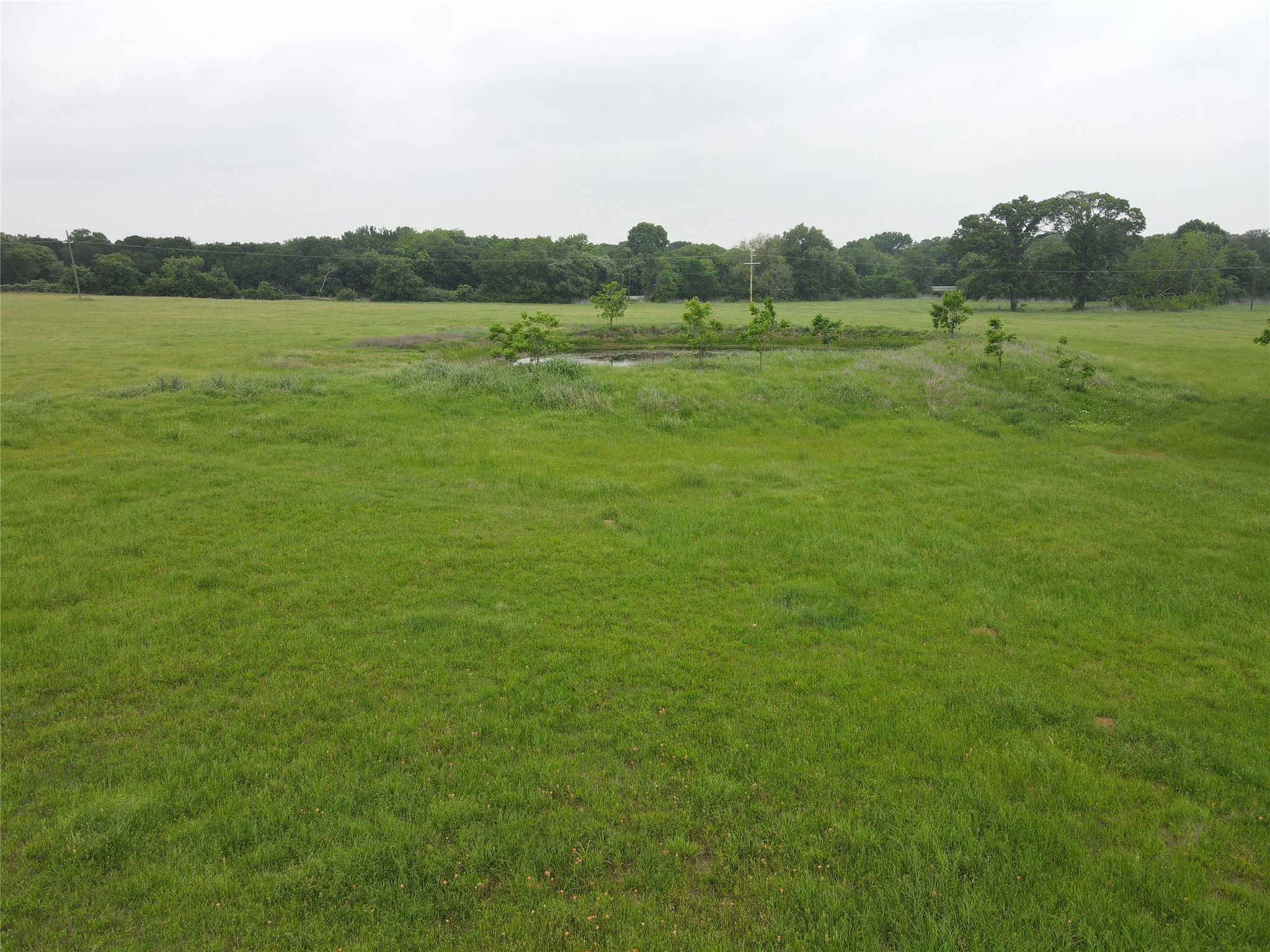 21 Acres Gathings Avenue