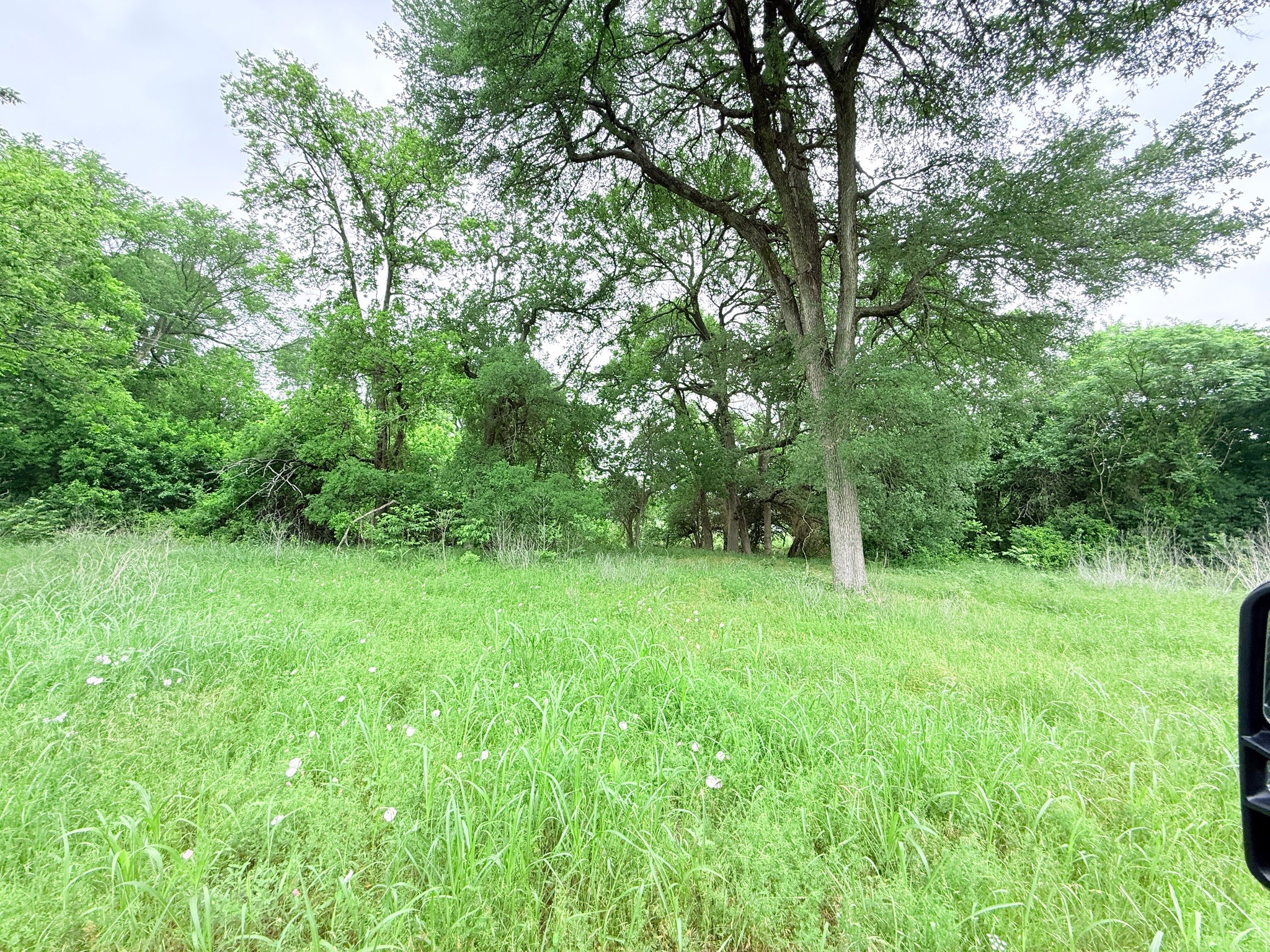 21 Acres Gathings Avenue