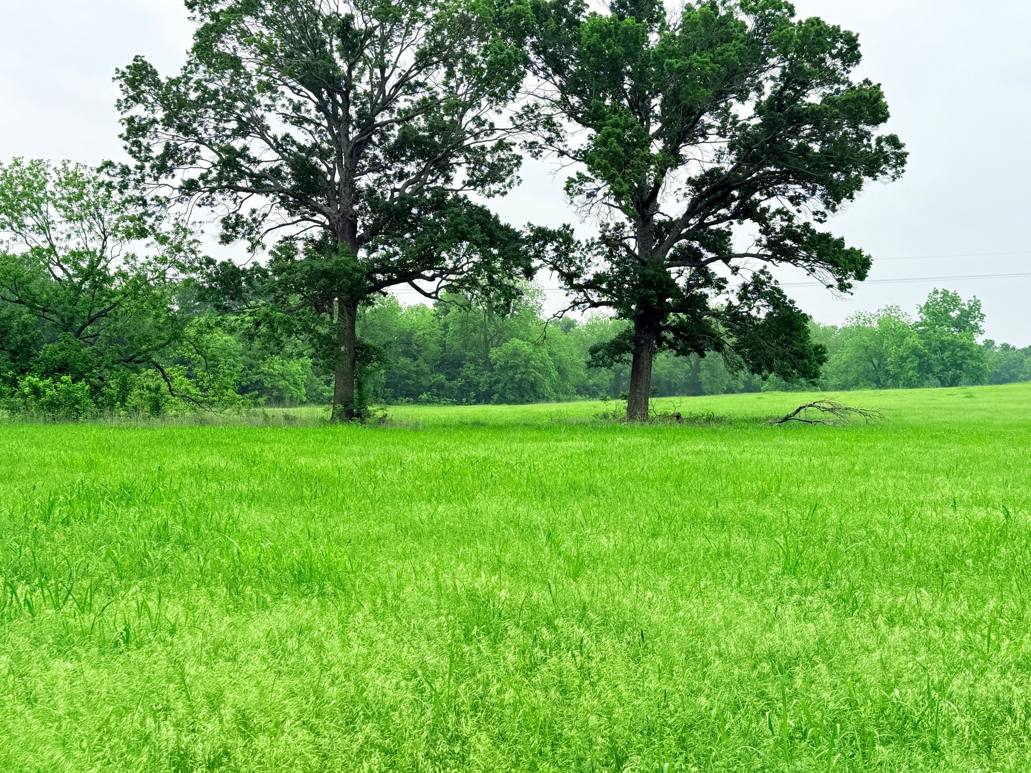 21 Acres Gathings Avenue