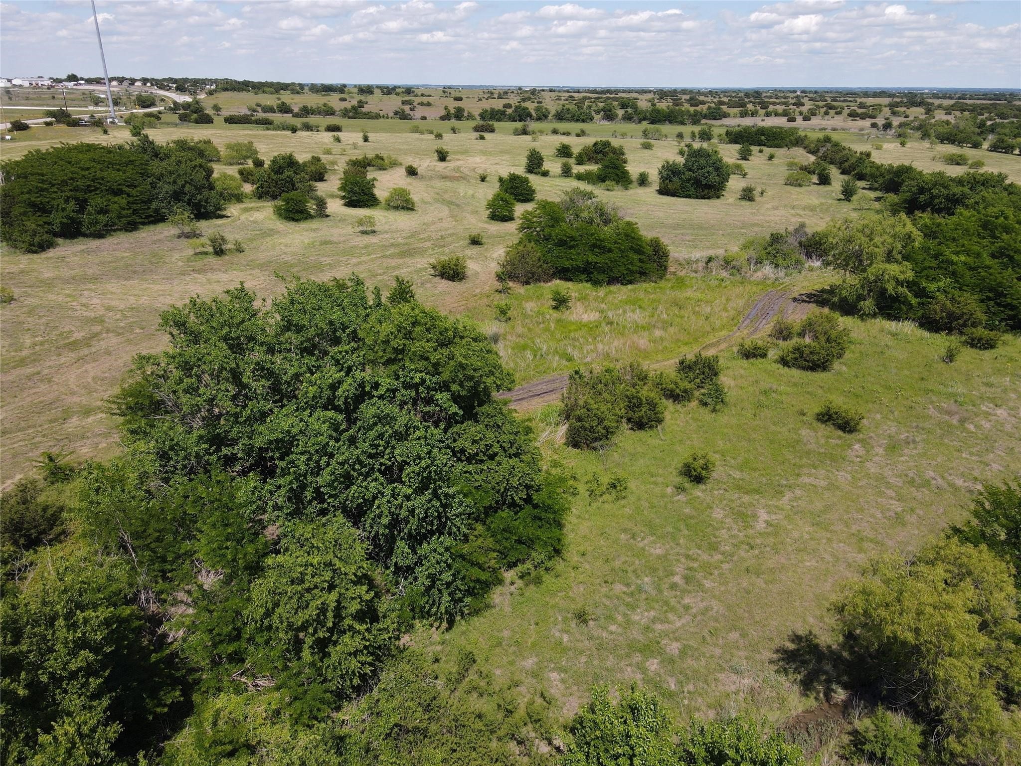 3757 FM-1434 50 acres