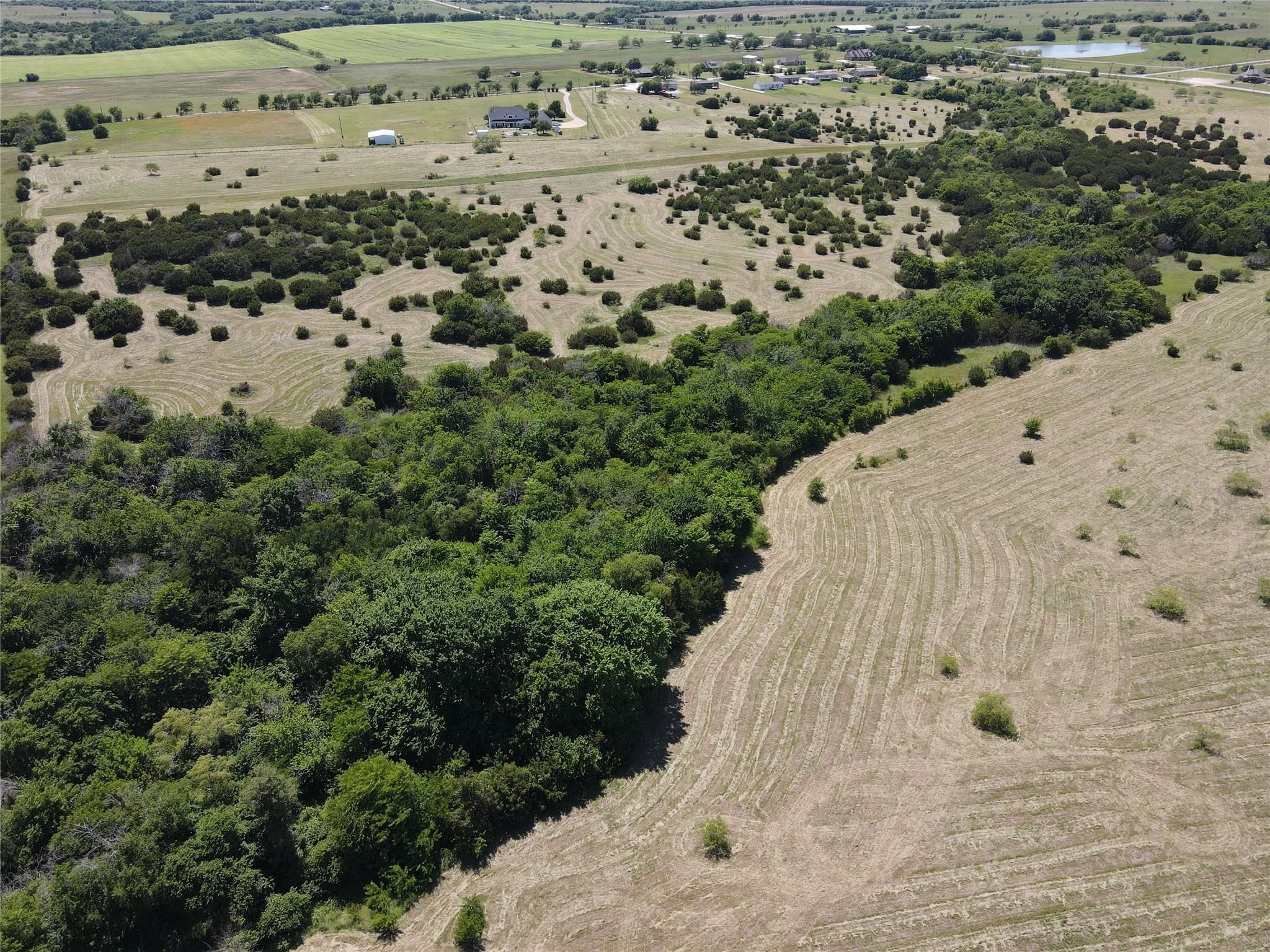 3757 FM-1434 50 acres