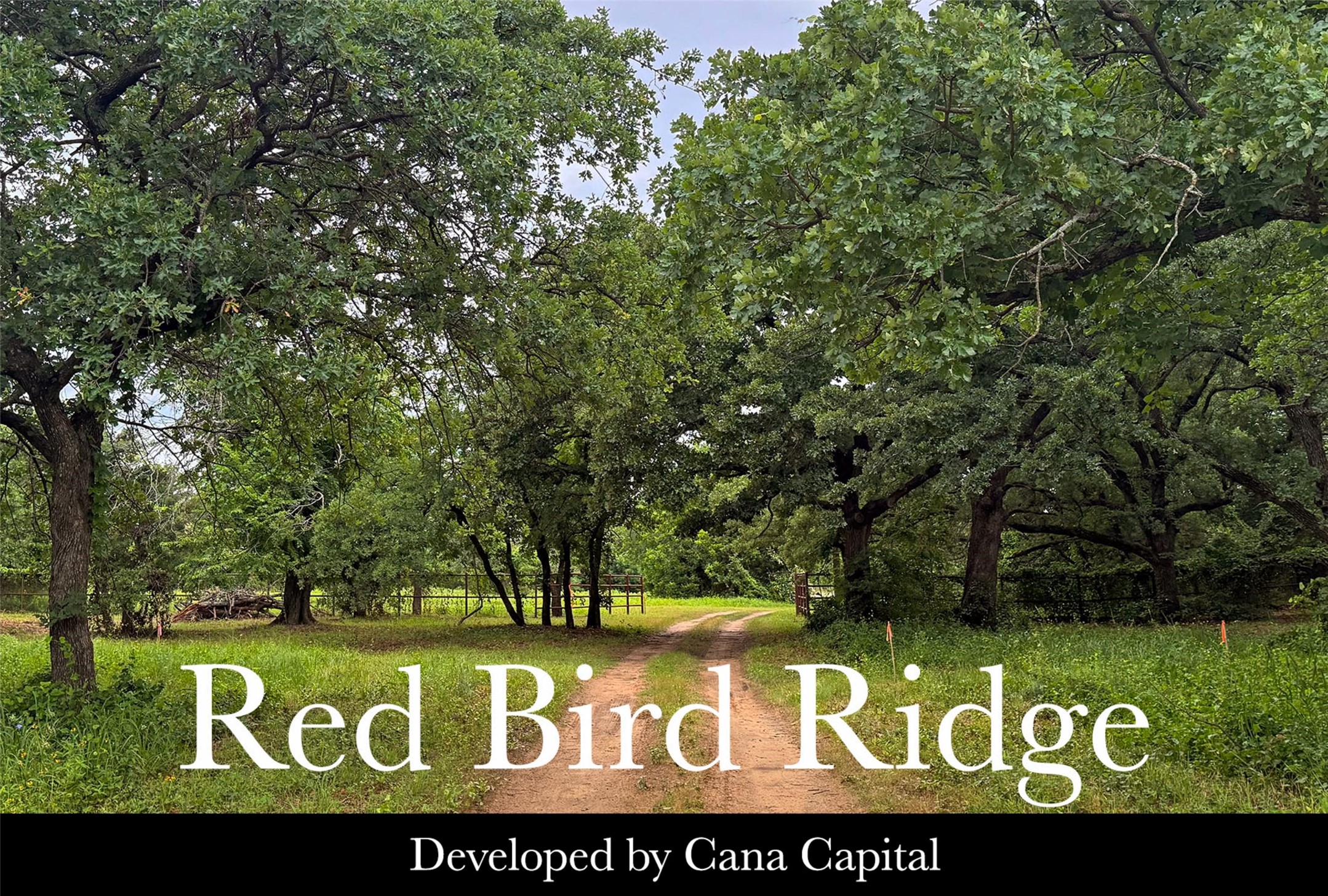 1130 Redbird Grove Road