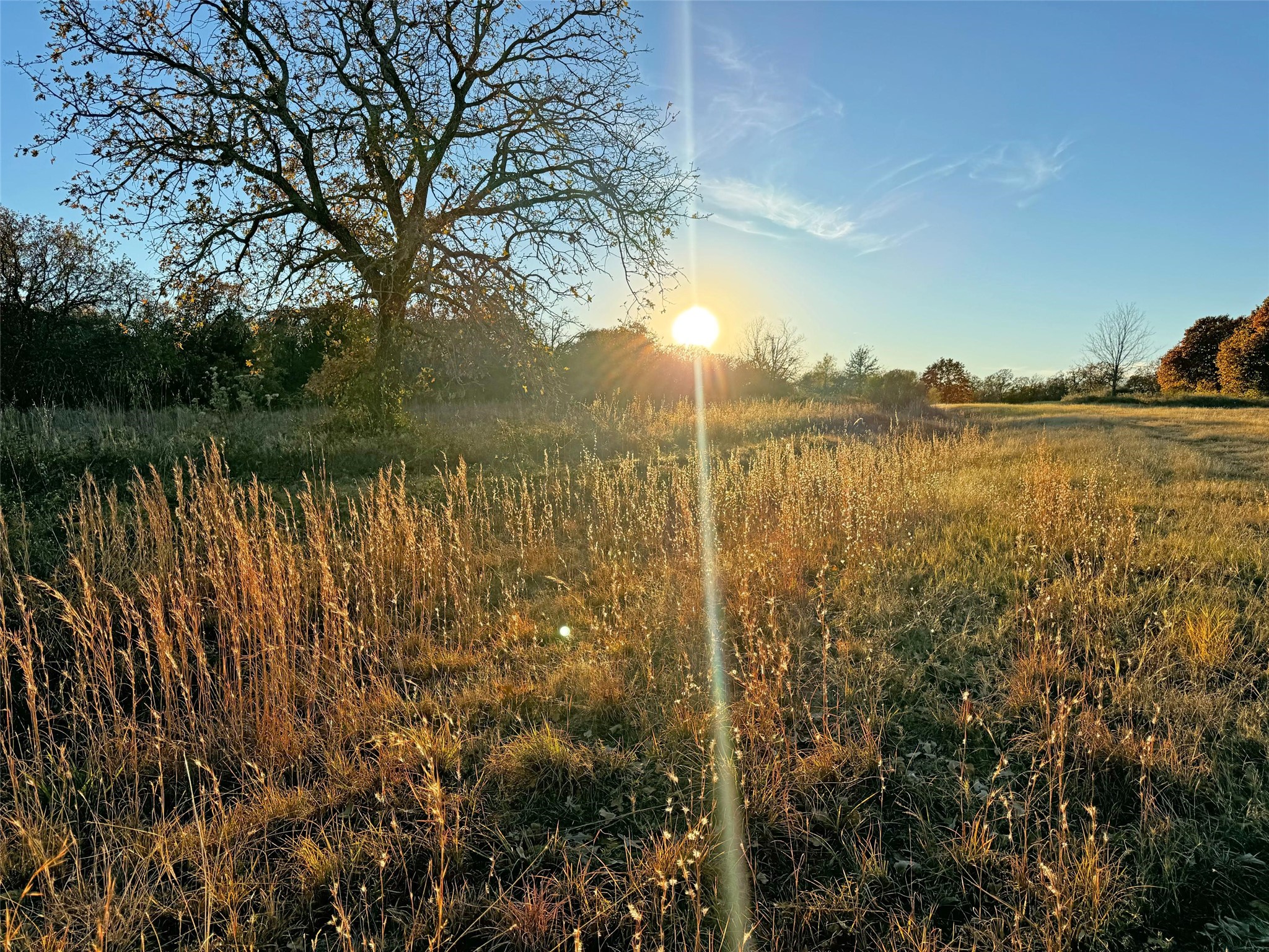 1121 Redbird Grove Road