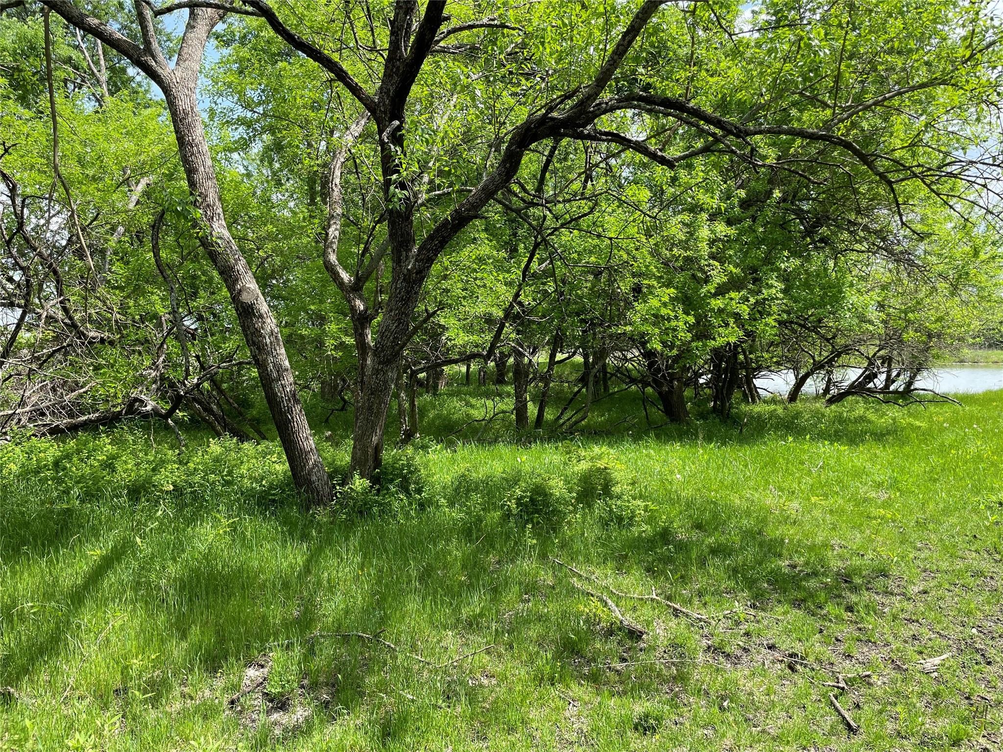 26 Acres FM 118