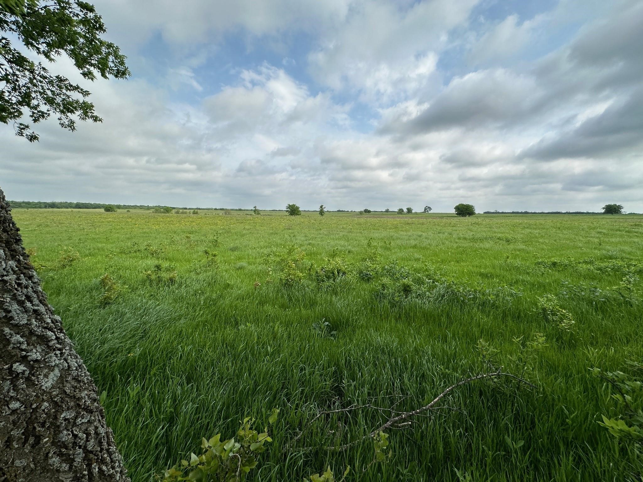 26 Acres FM 118
