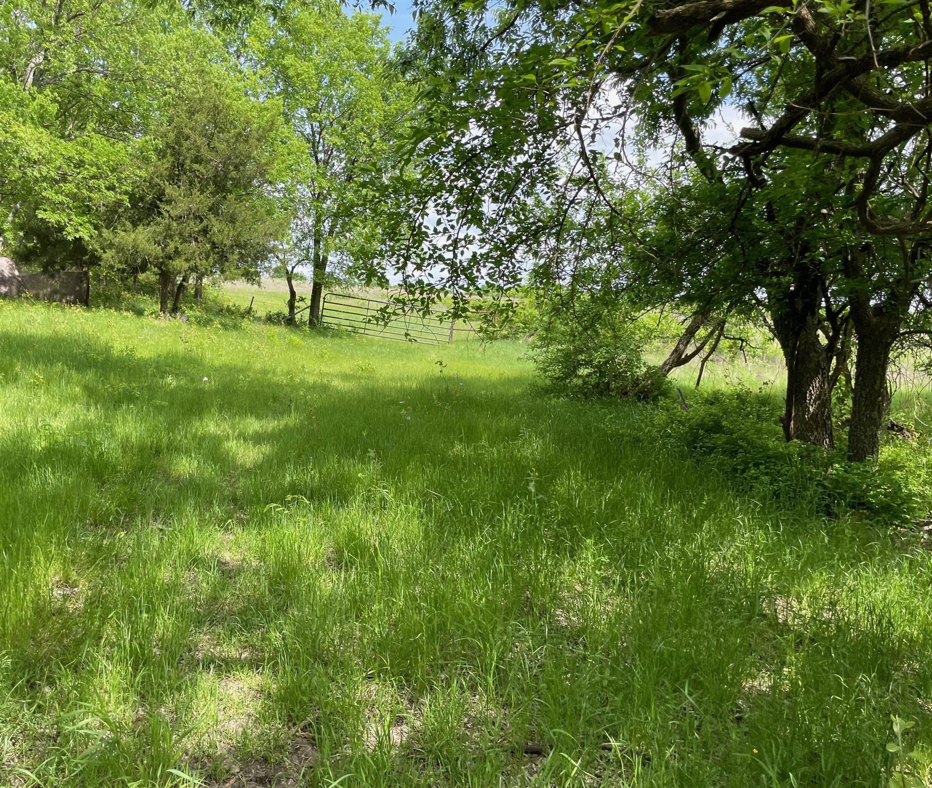 26 Acres FM 118